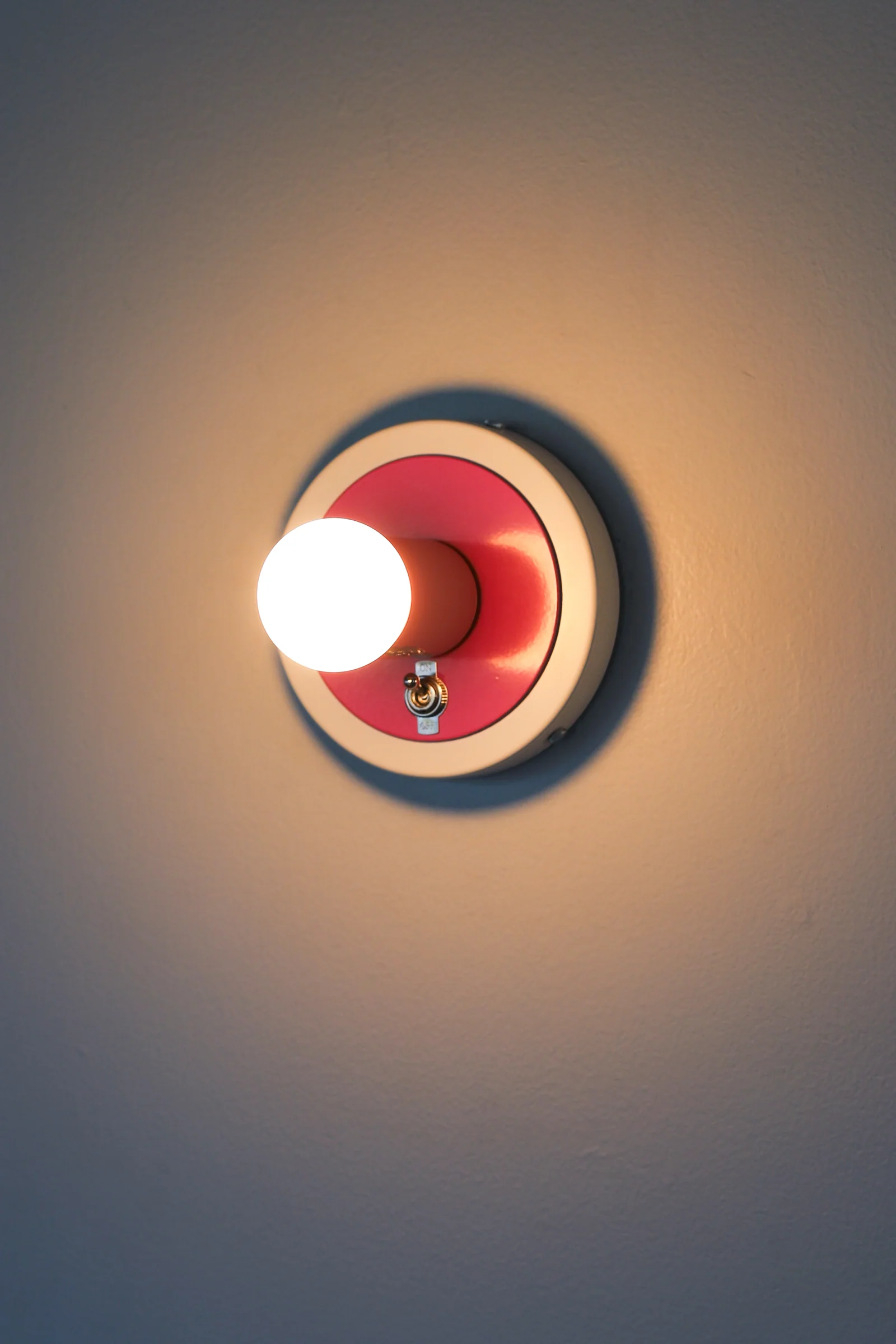 Backplate Toggle Switch - Image 3