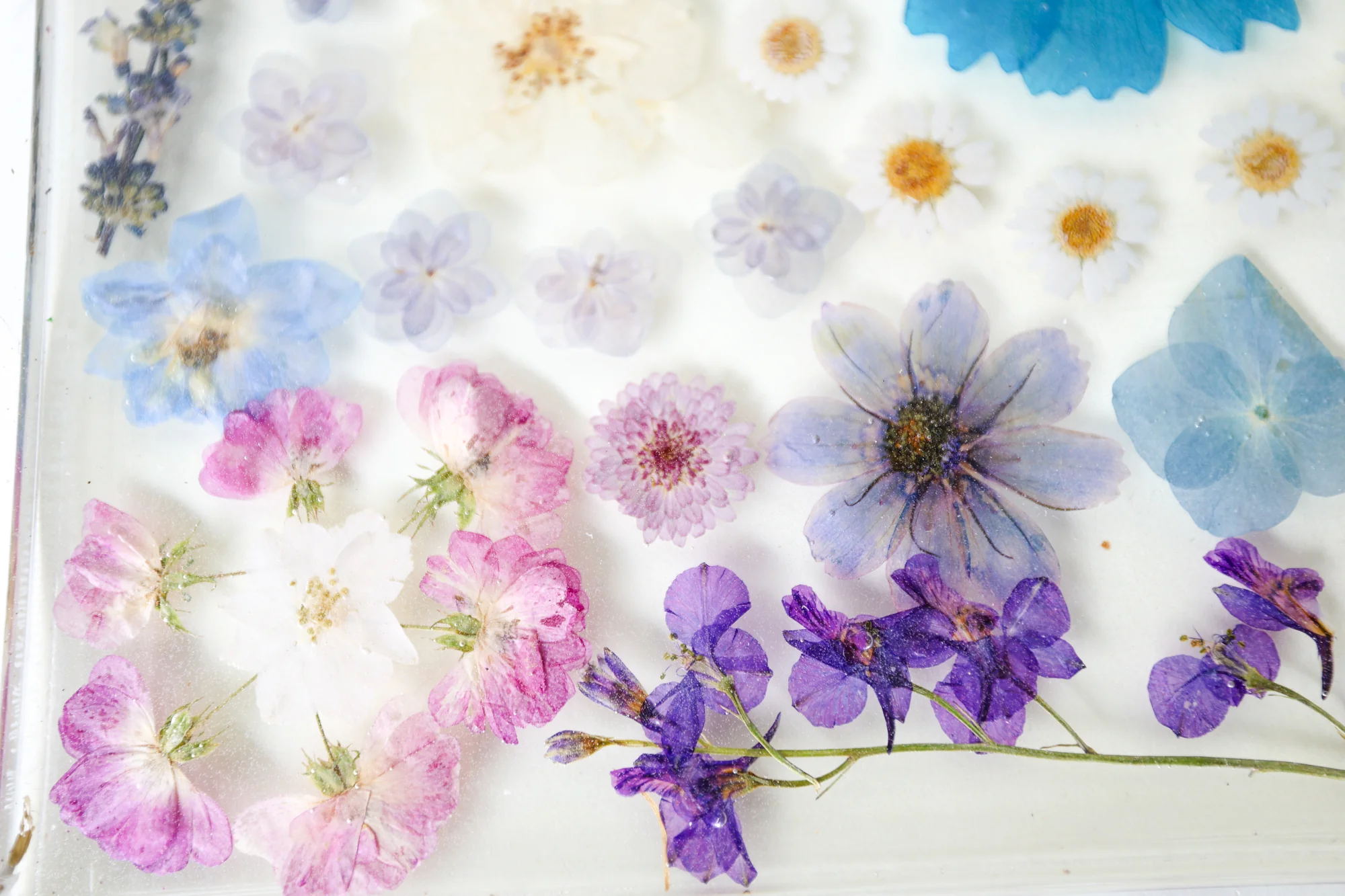 Blue & Purple Floral Tray - Image 3