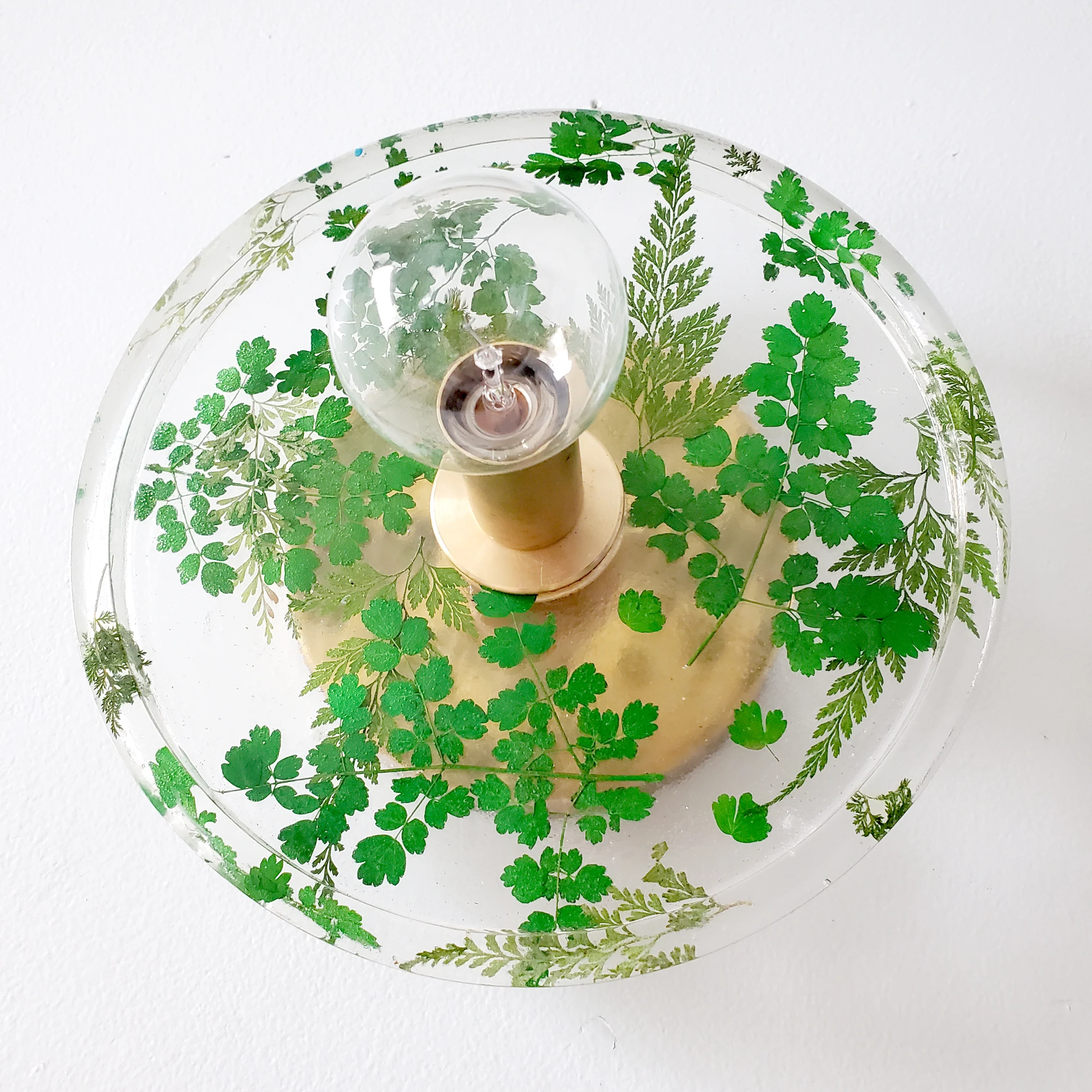 Botanico Sconce or Flushmount - Image 24