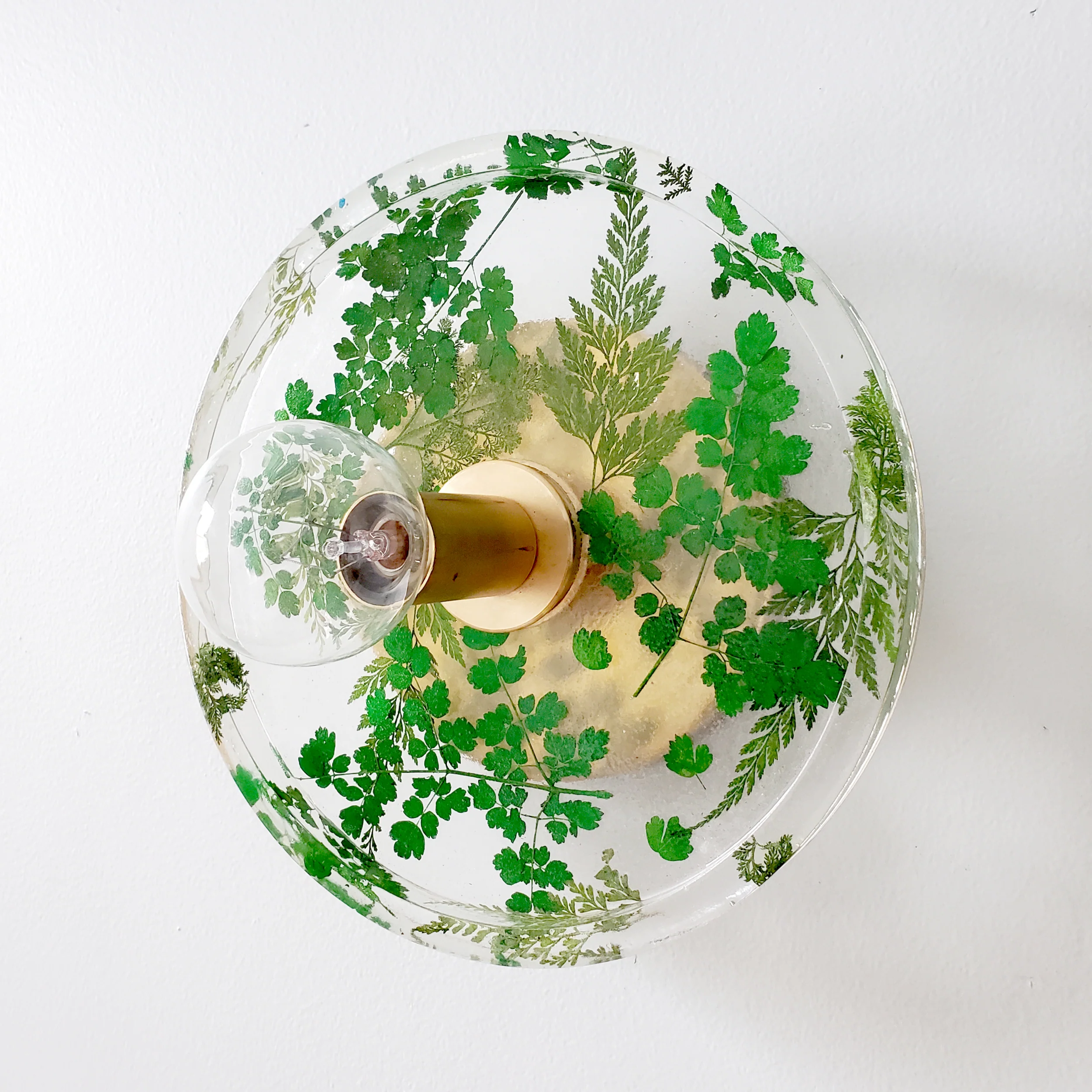 Botanico Sconce or Flushmount - Image 3
