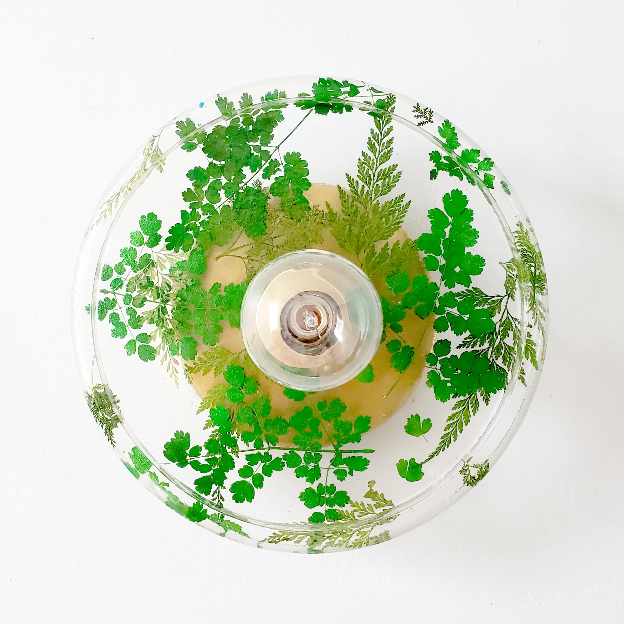 Botanico Sconce or Flushmount - Image 36