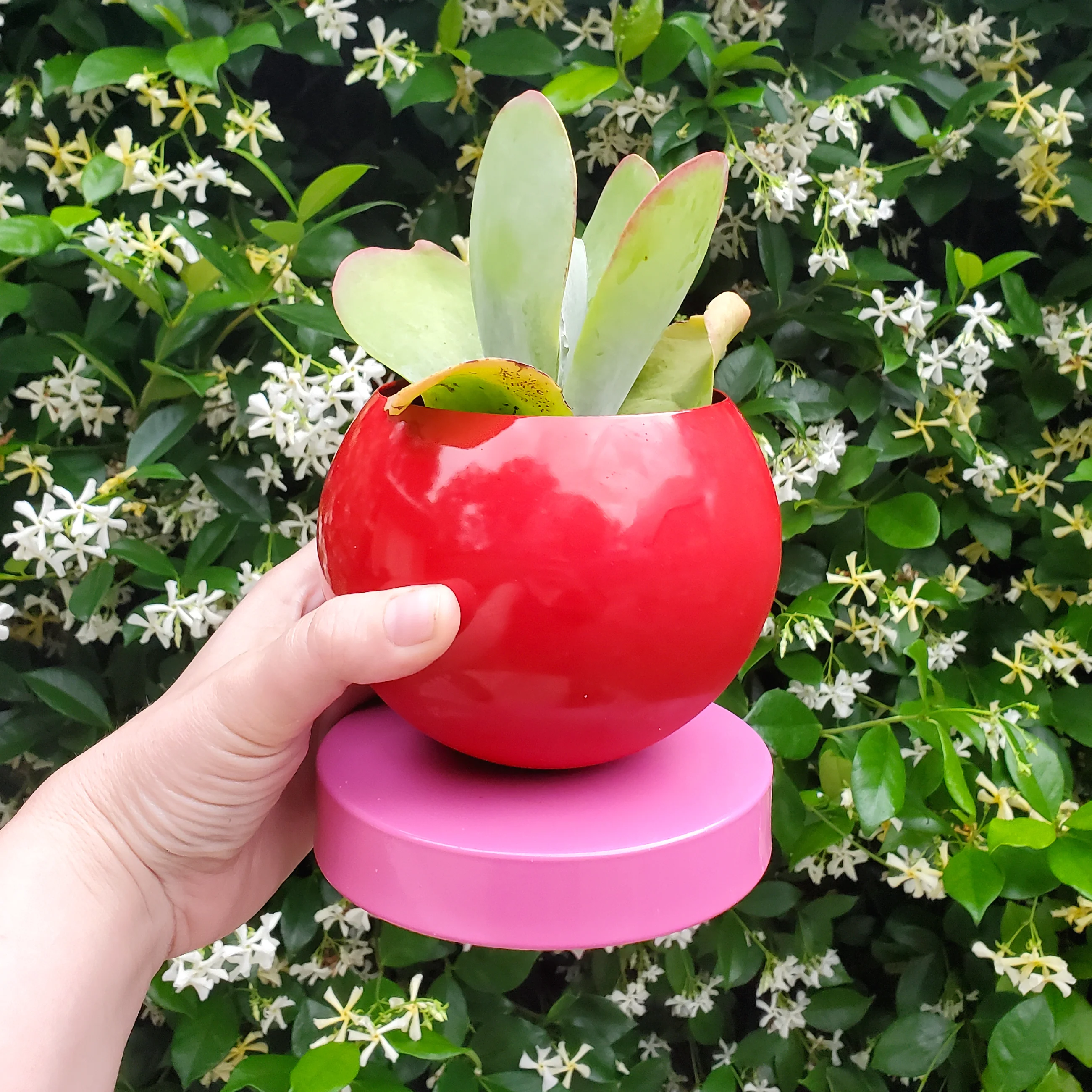 Color Blocked Planter - Image 10