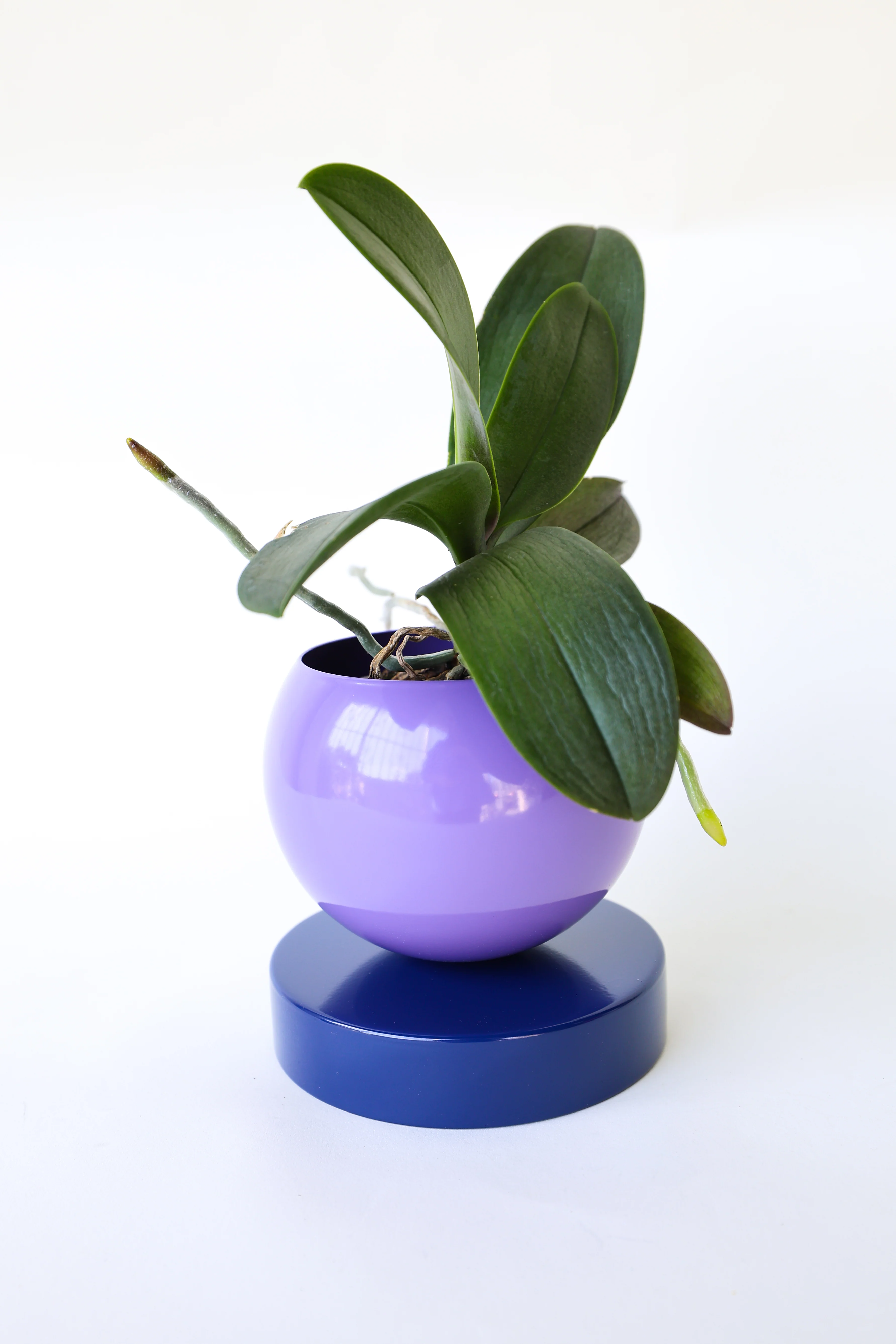 Color Blocked Planter - Image 11