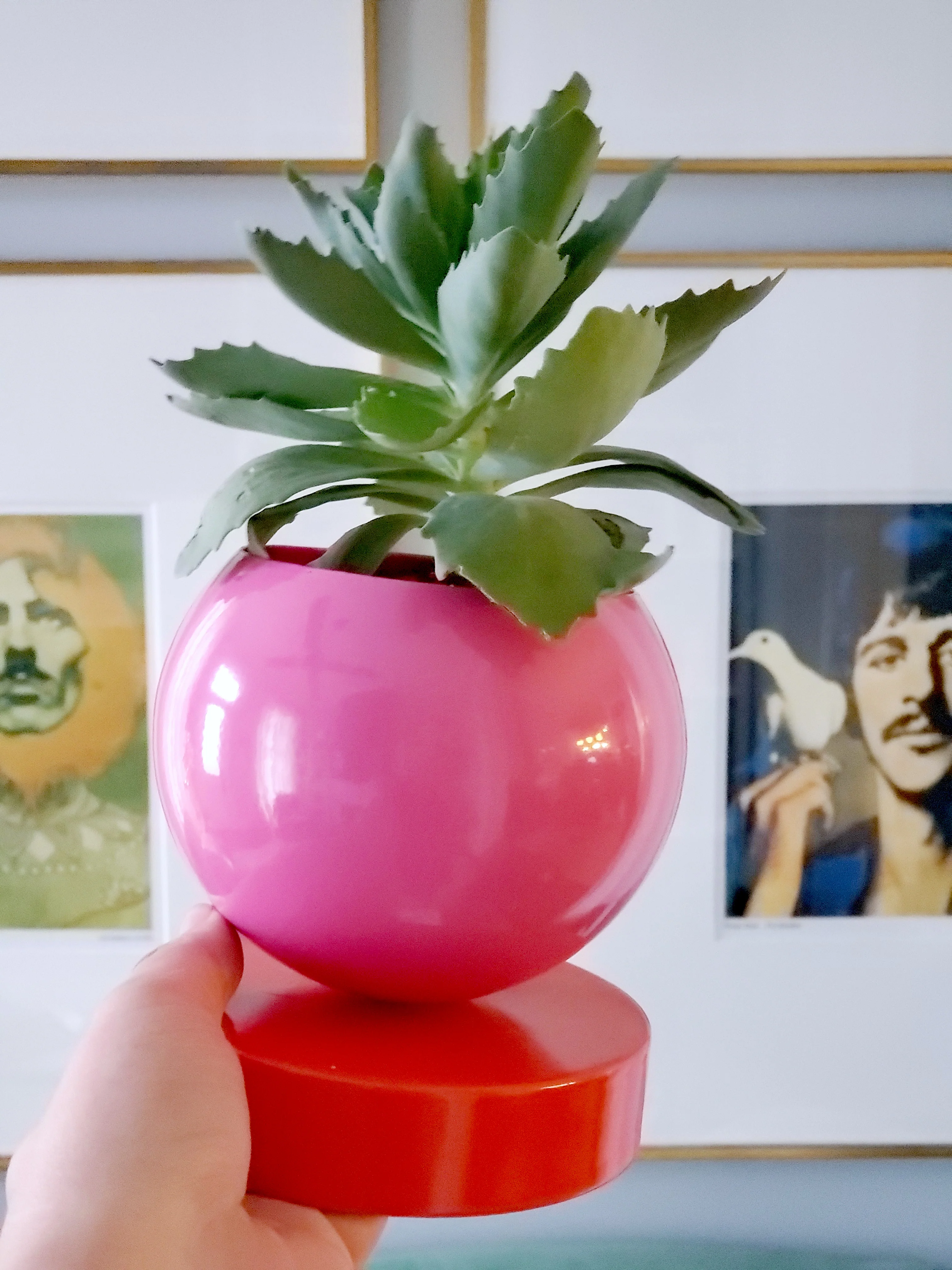 Color Blocked Planter - Image 16