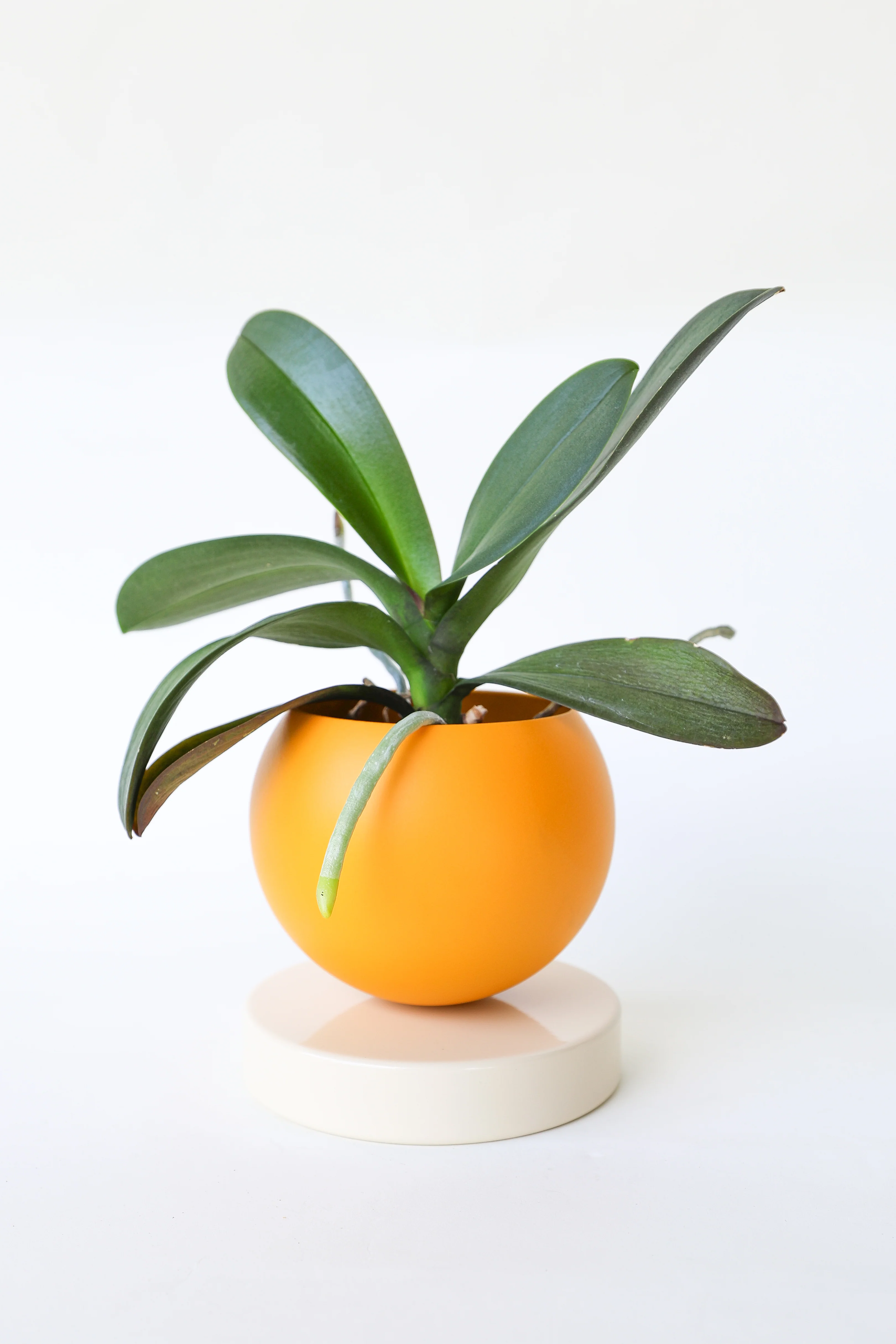 Color Blocked Planter - Image 28