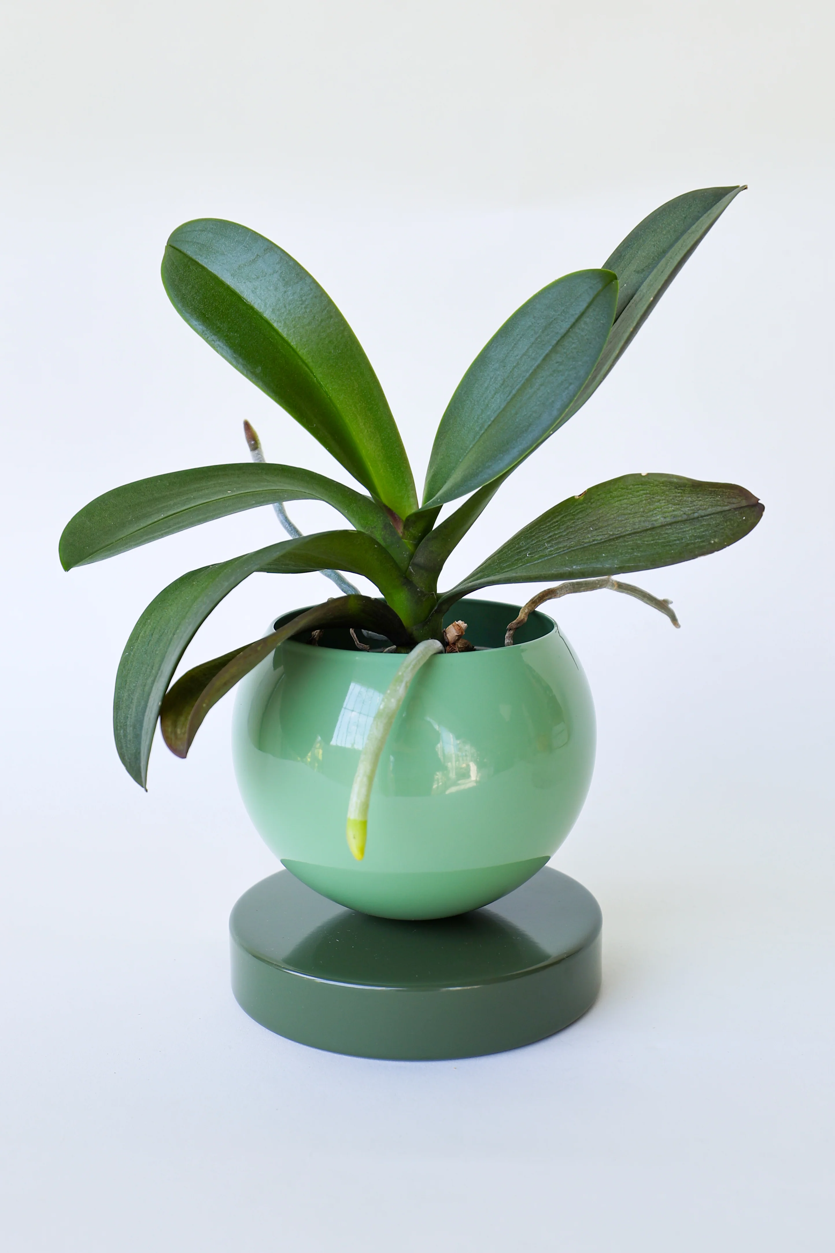 Color Blocked Planter - Image 31