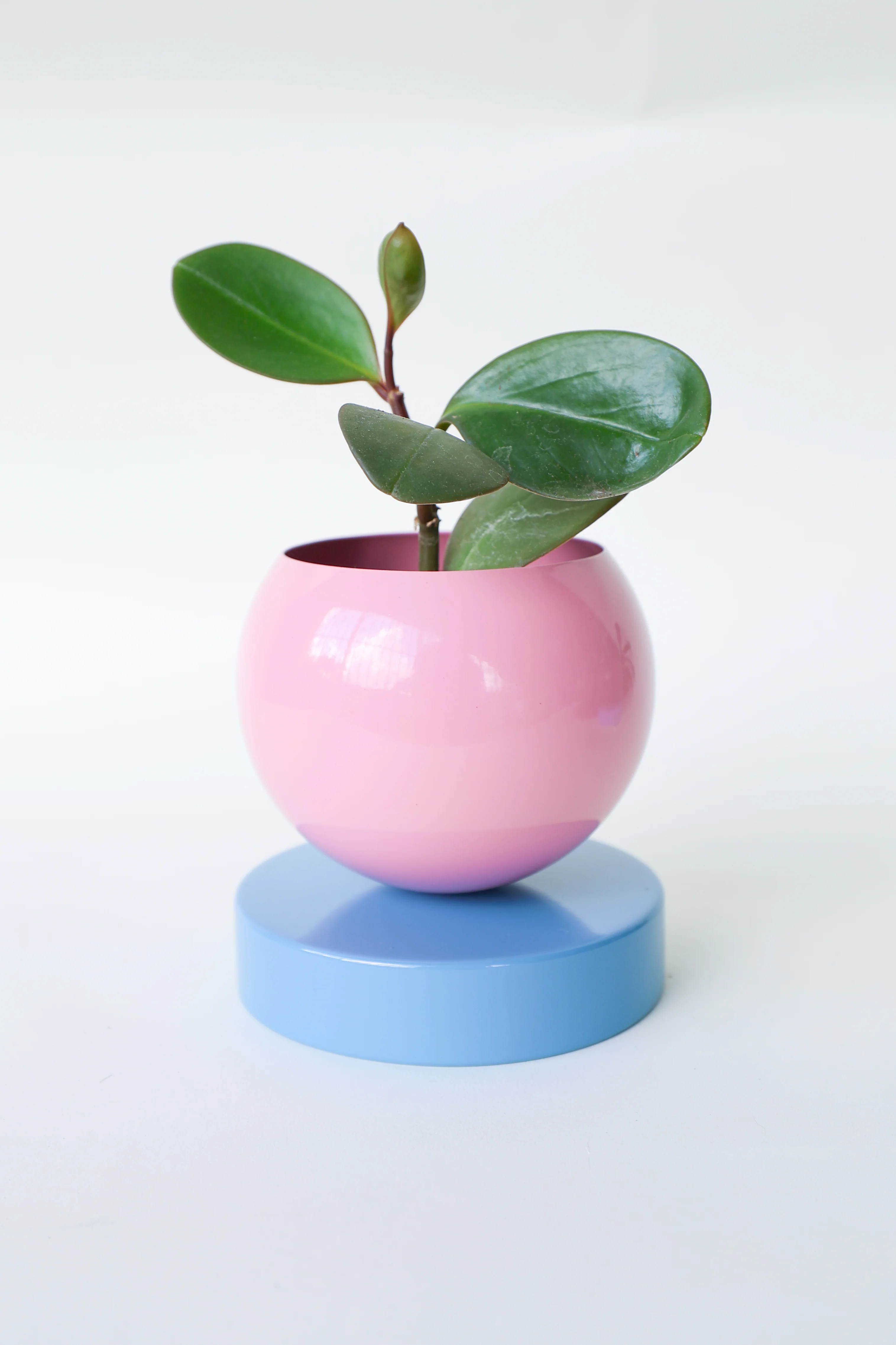 Color Blocked Planter - Image 43