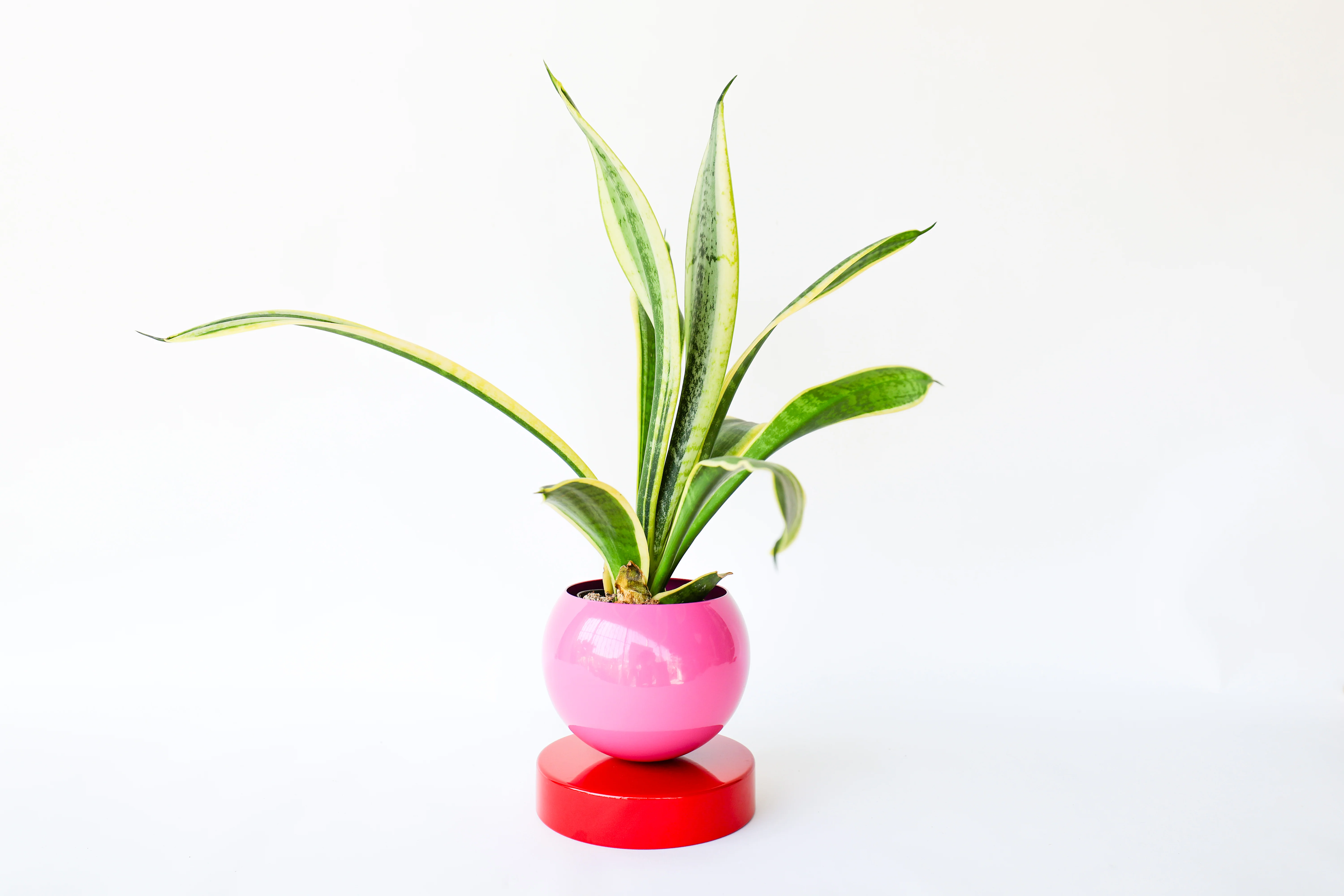 Color Blocked Planter - Image 5