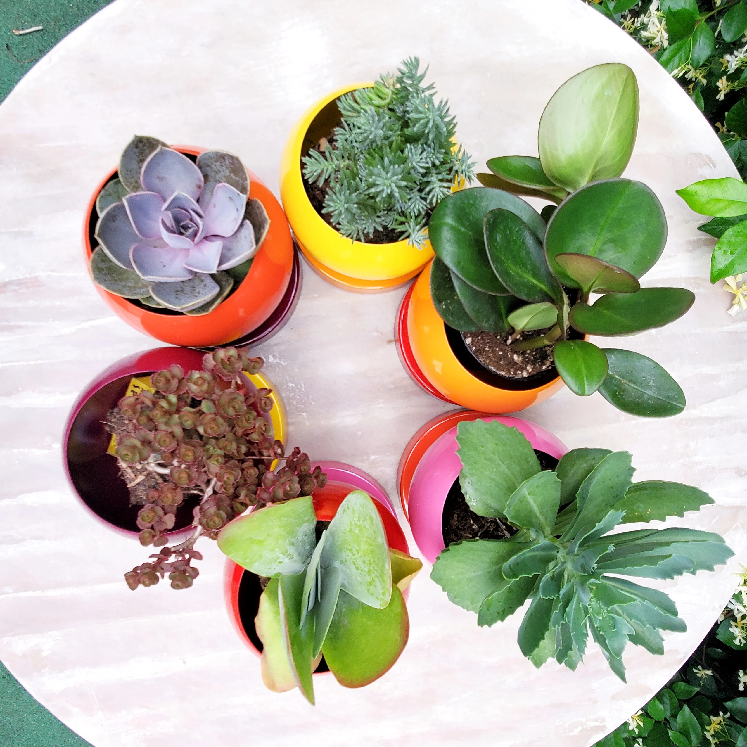 Color Blocked Planter - Image 6