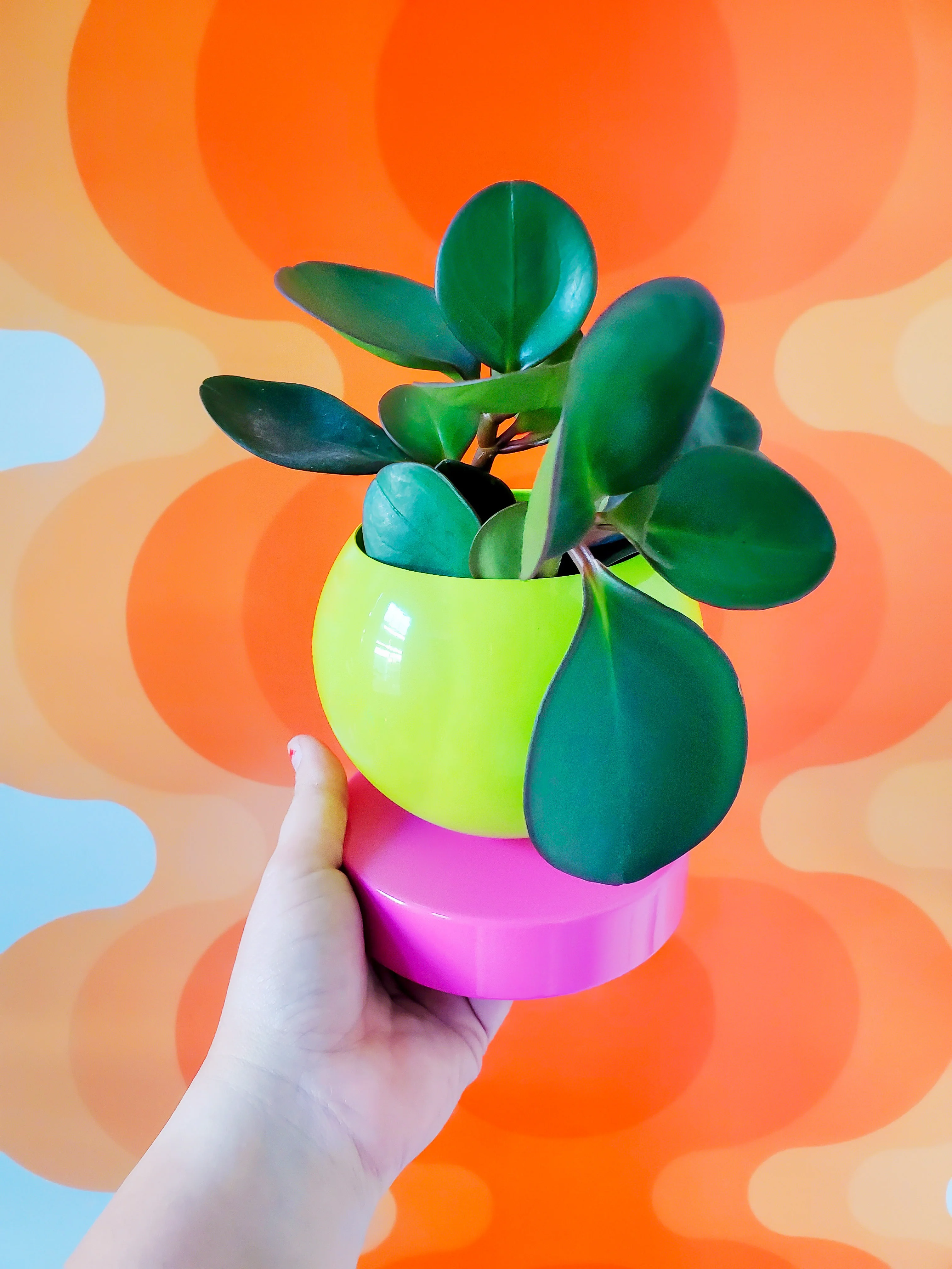 Color Blocked Planter - Image 8