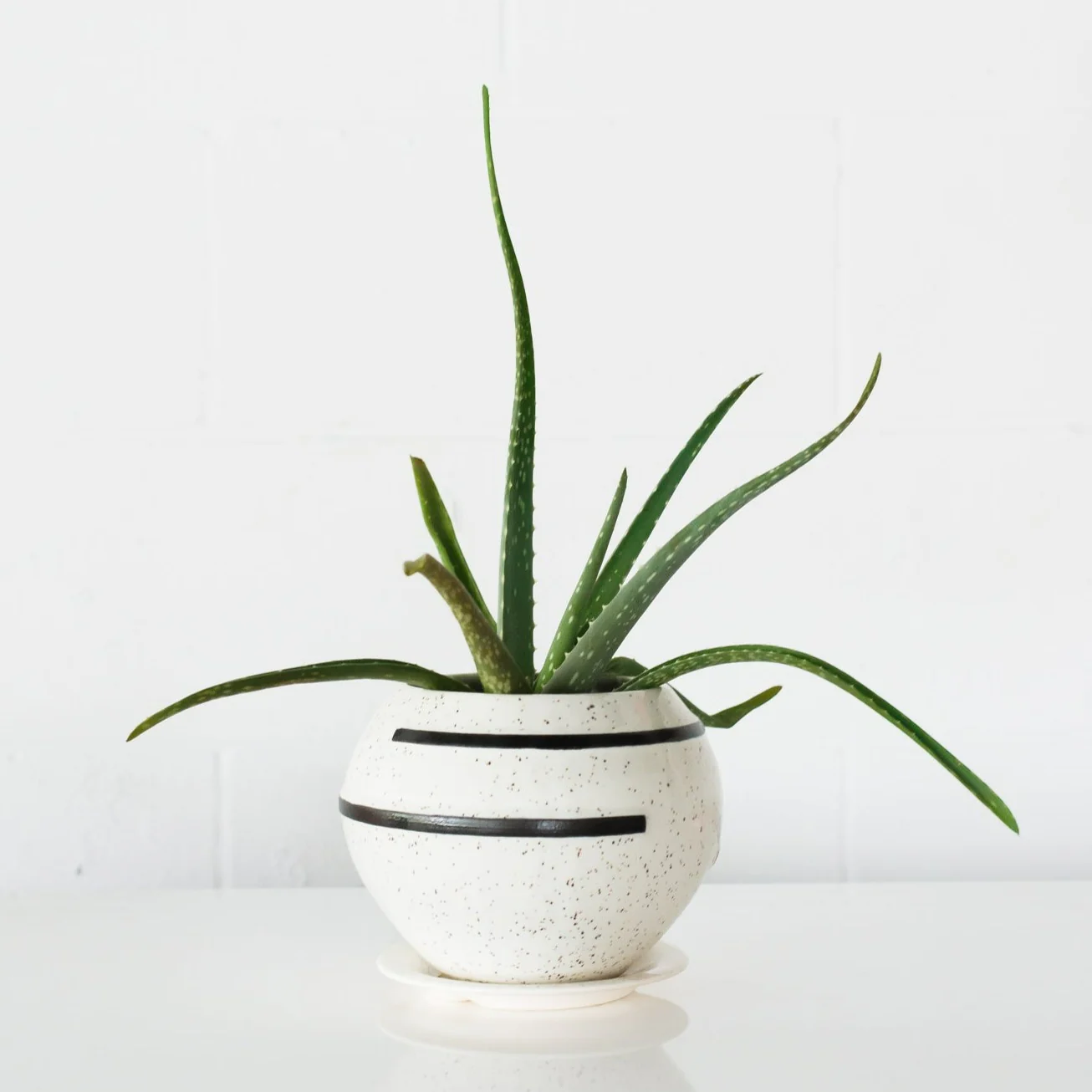 Delta Planter - Image 2