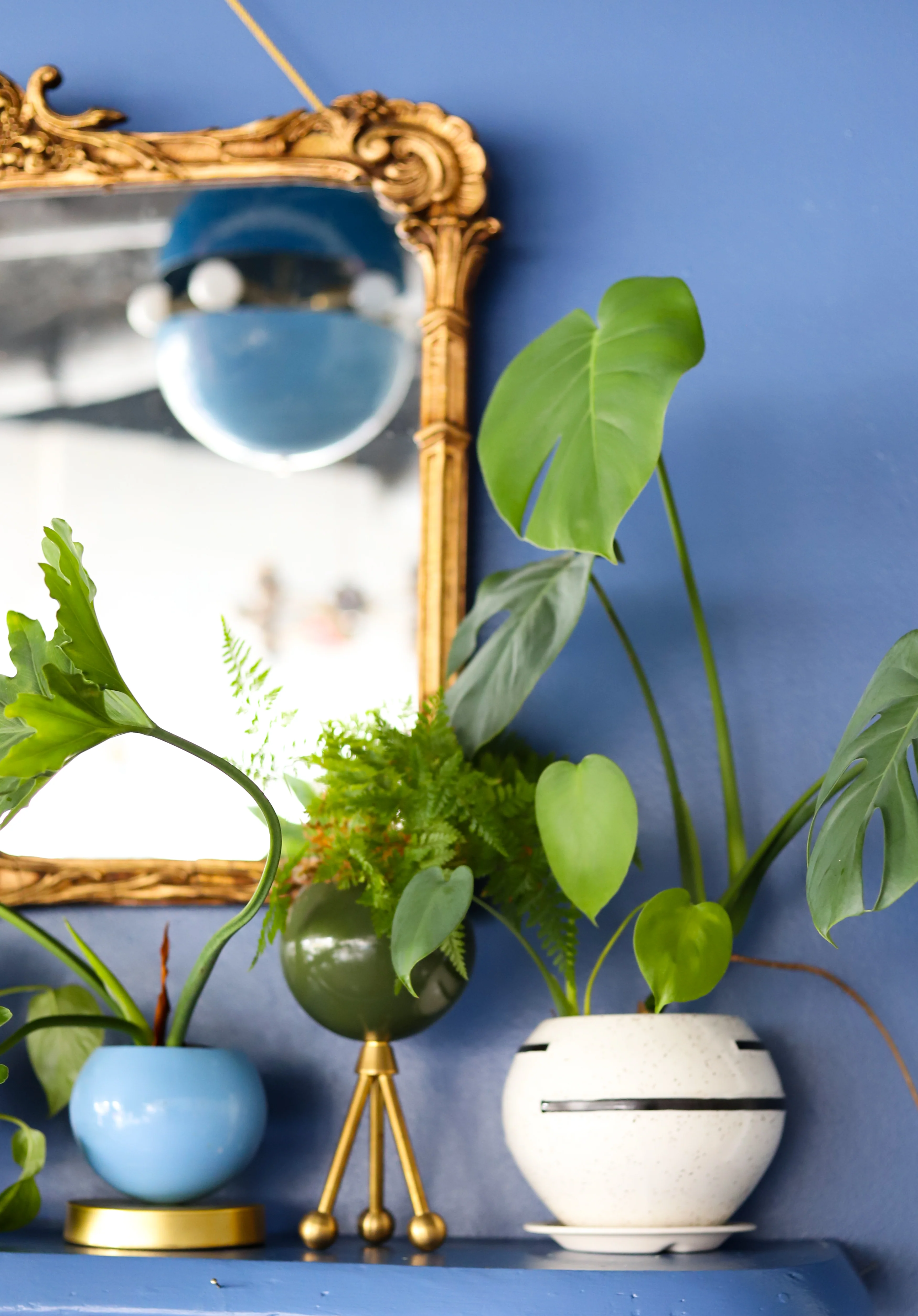 Delta Planter - Image 3