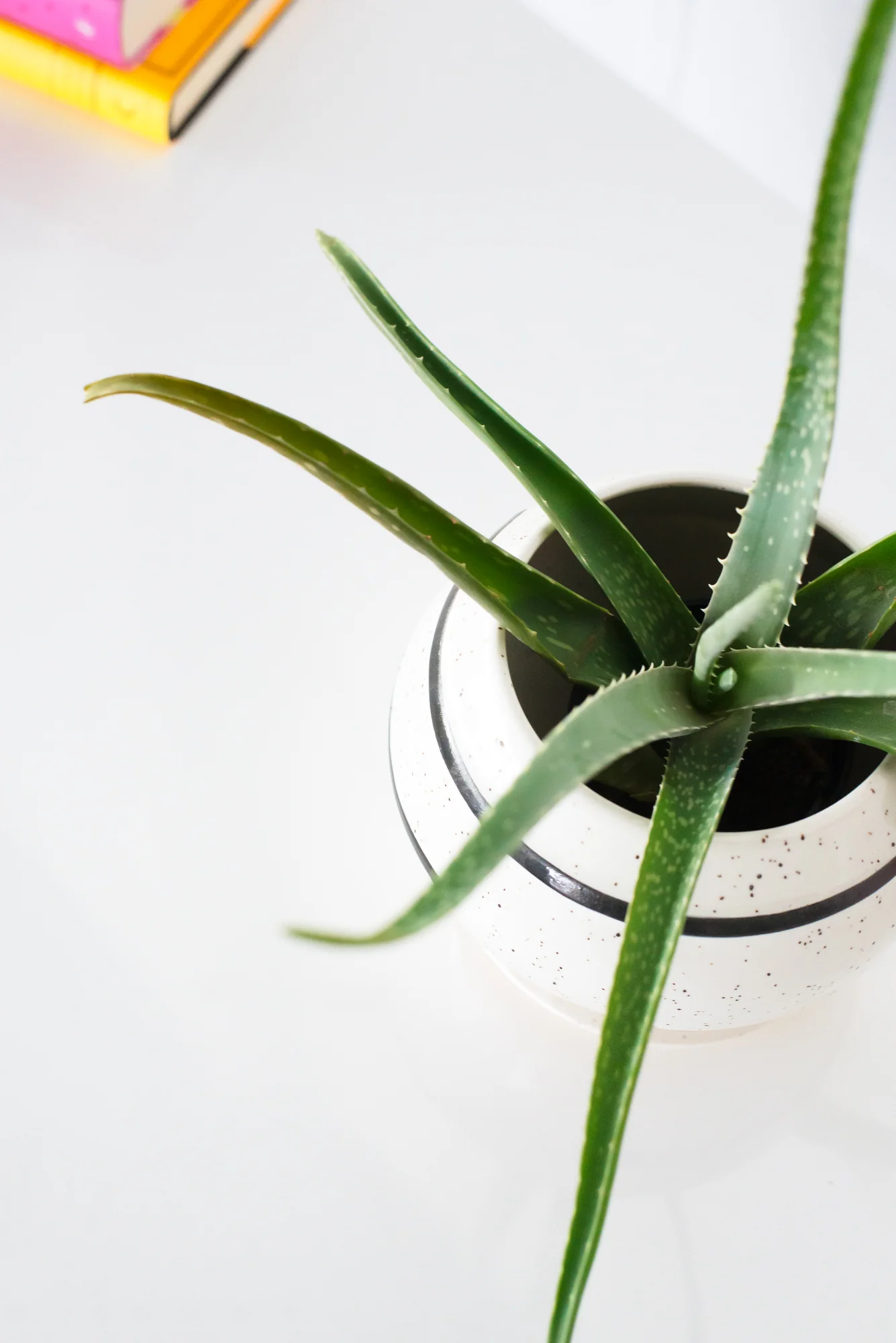 Delta Planter - Image 4
