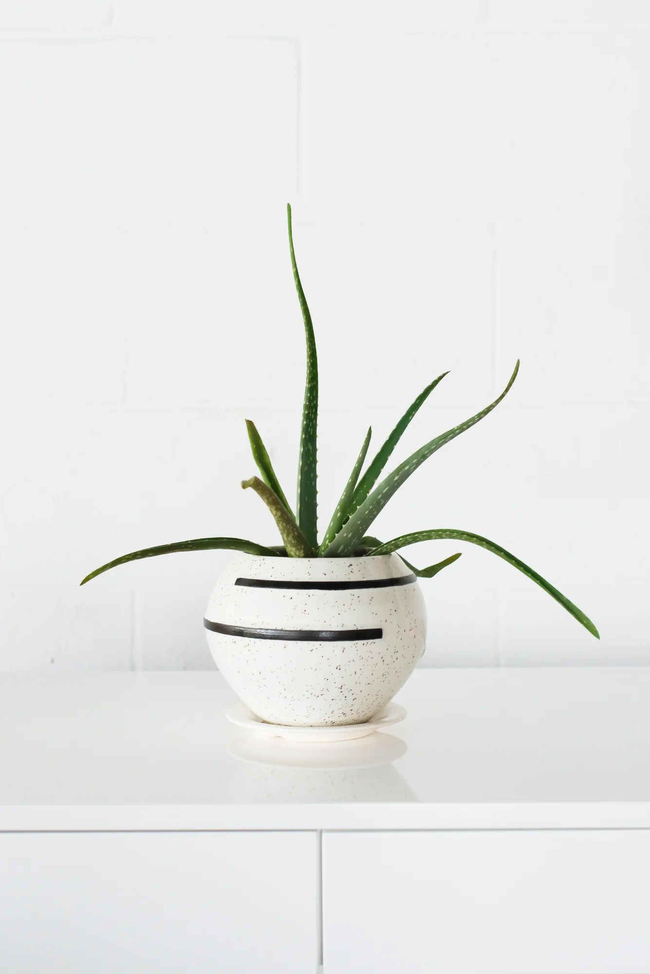 Delta Planter - Image 8