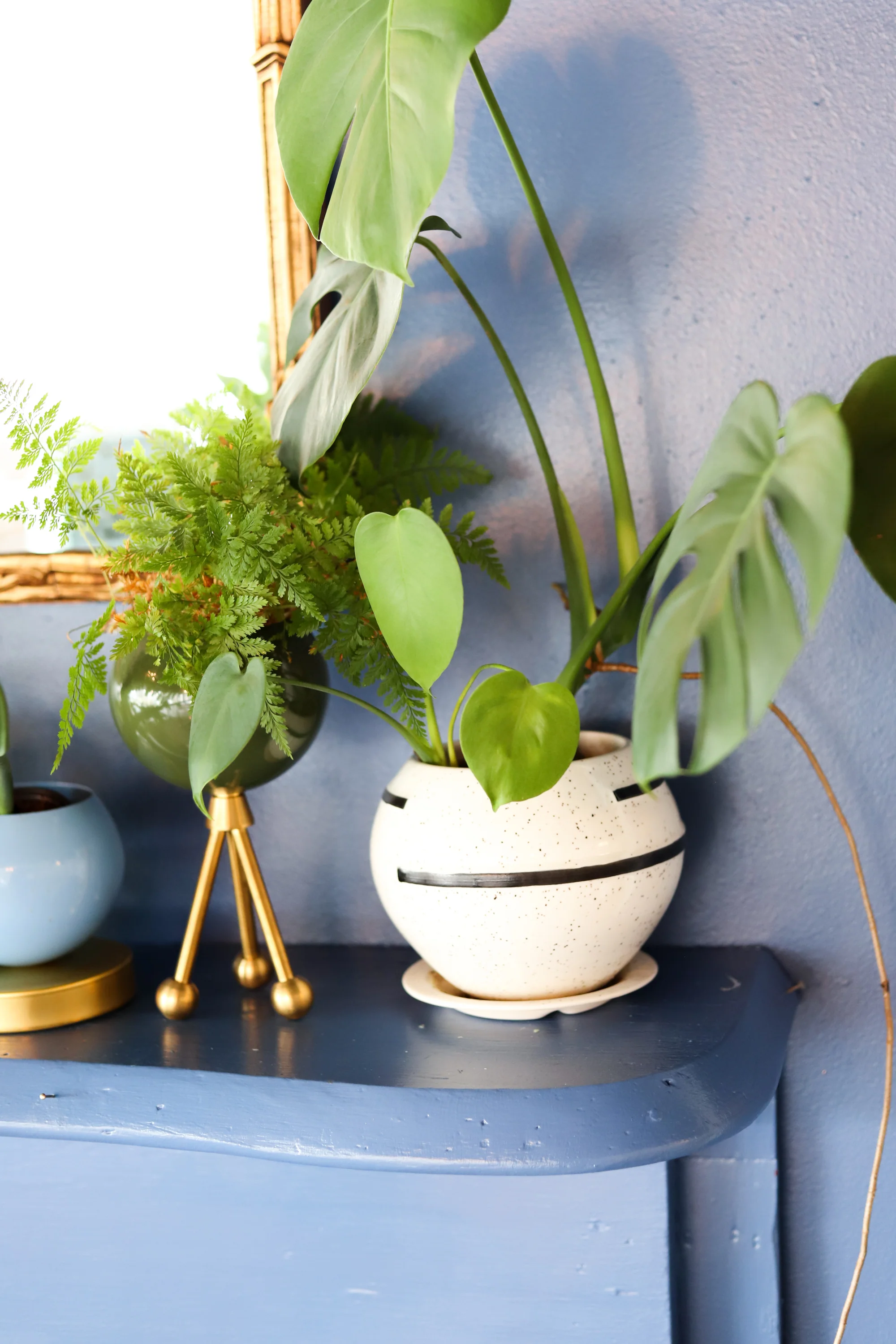 Delta Planter - Image 9