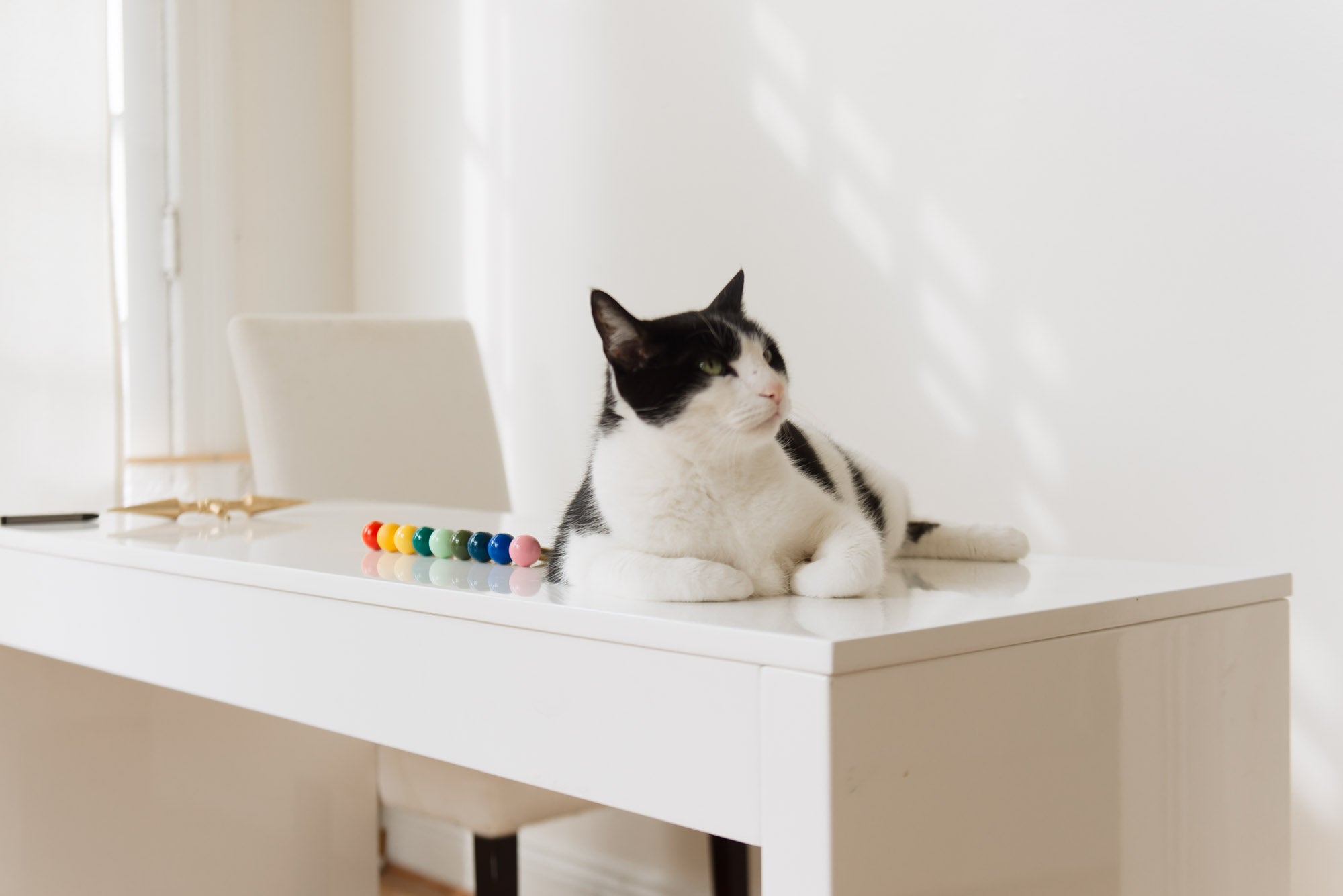 Gumball Drawer Pull - Image 18