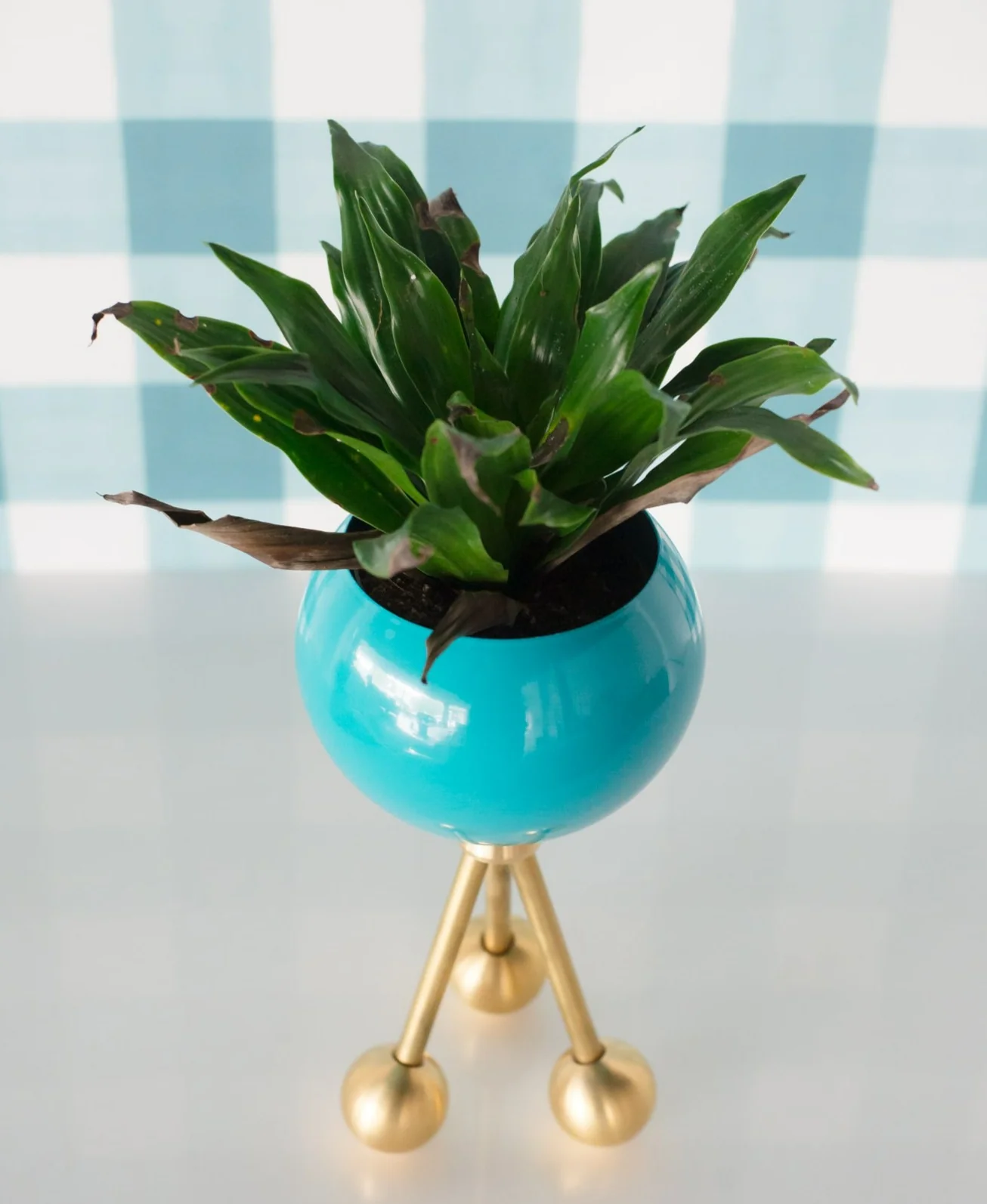 Hoffman Planter - Image 22
