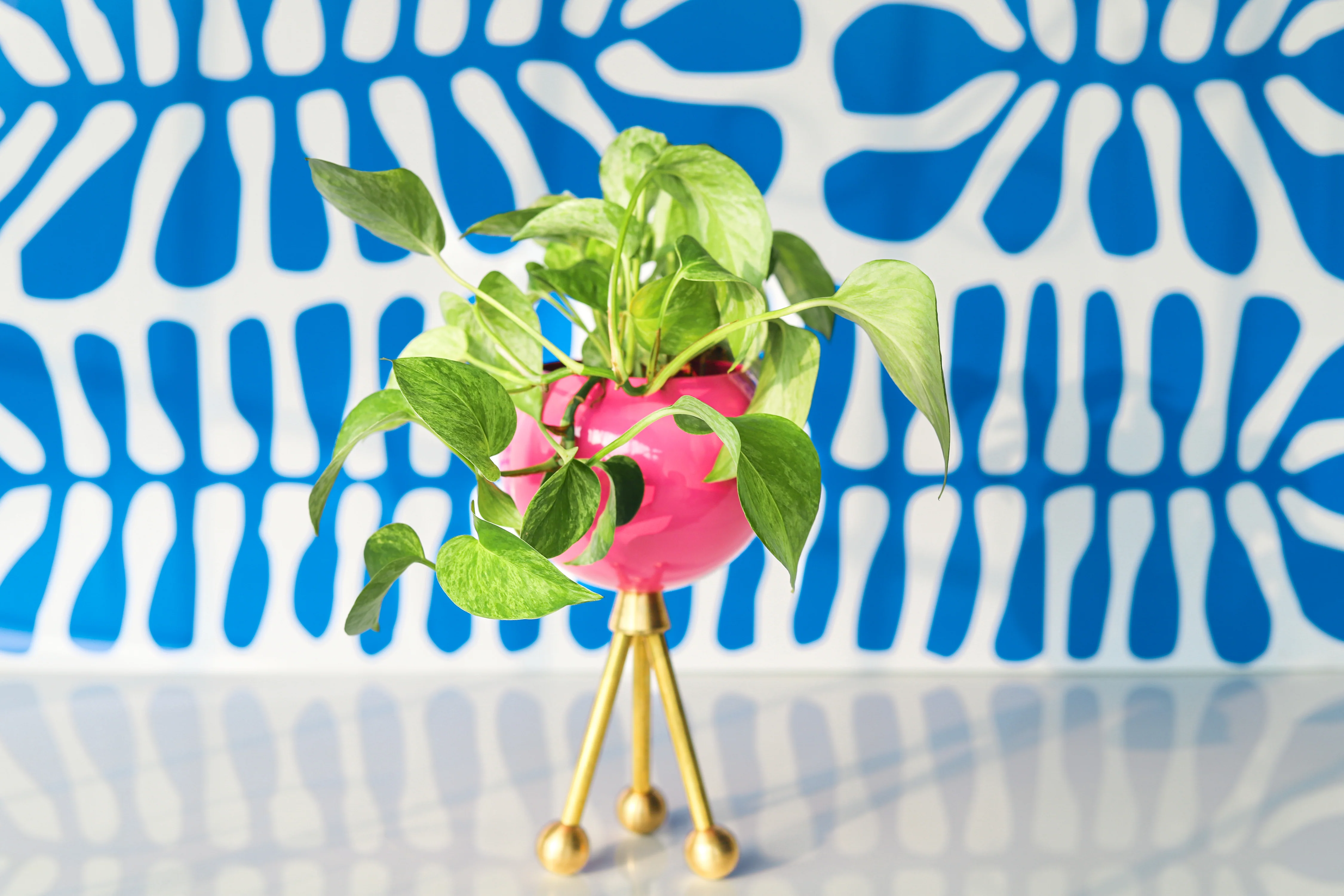 Hoffman Planter - Image 24