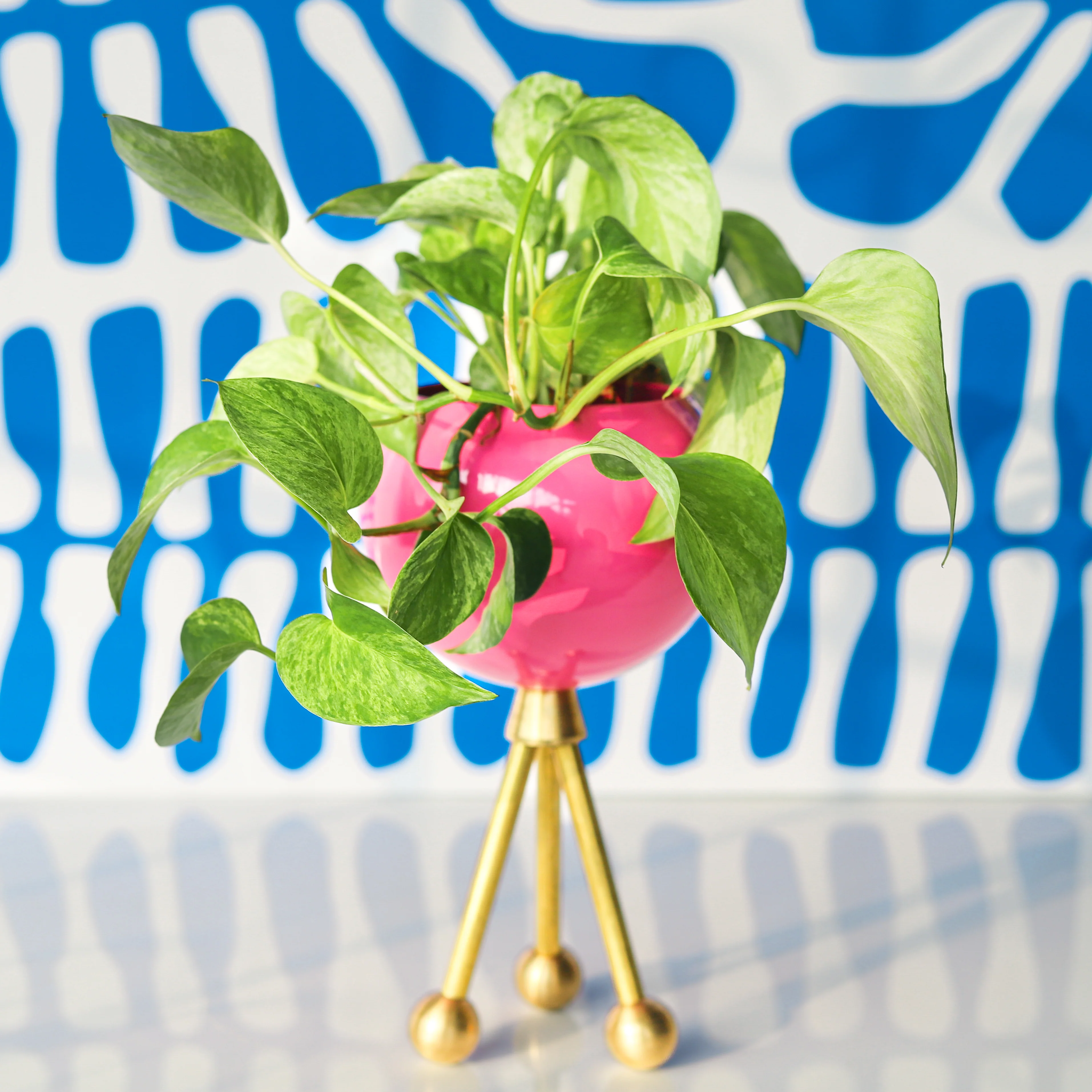 Hoffman Planter - Image 5
