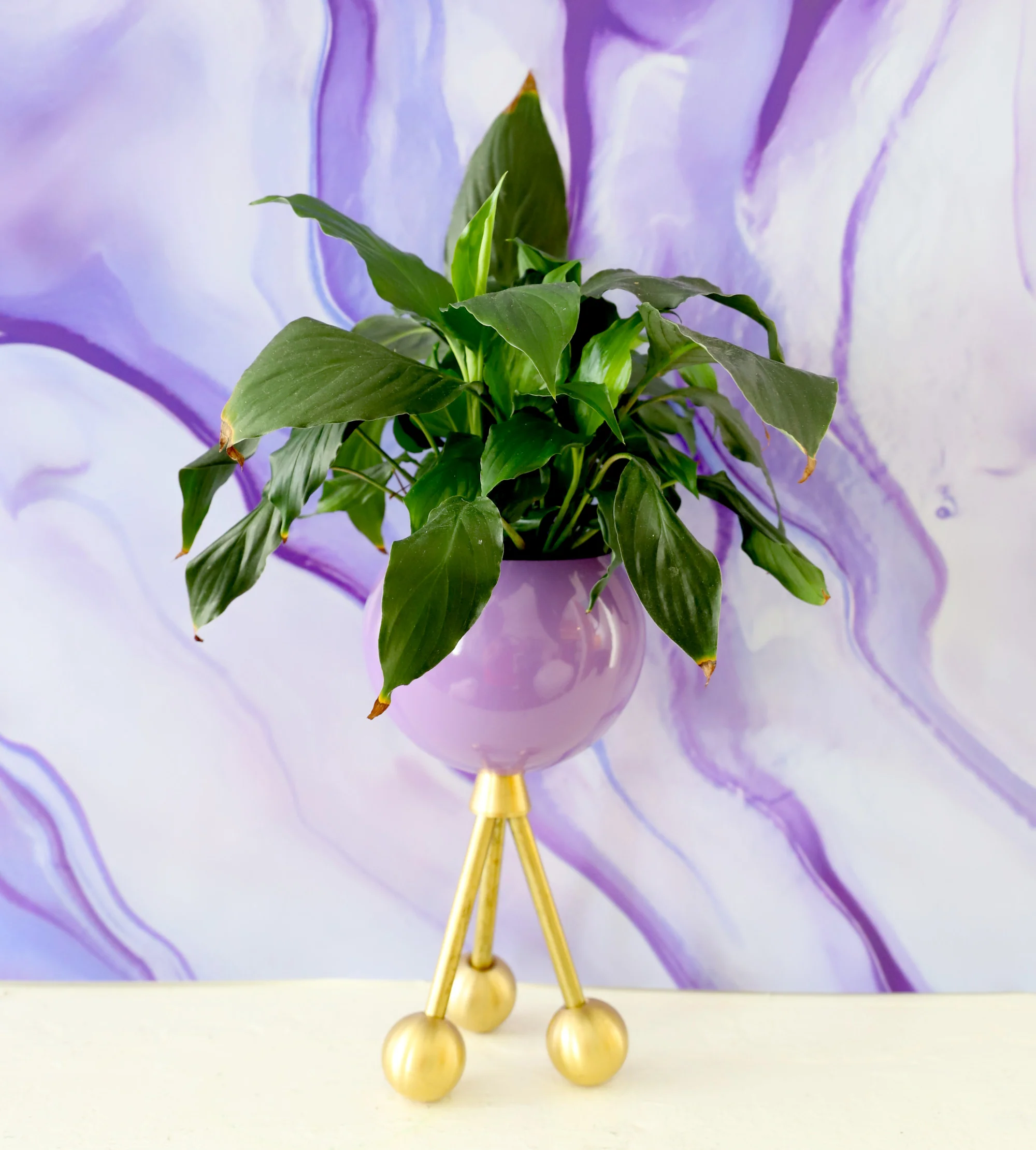 Hoffman Planter - Image 7