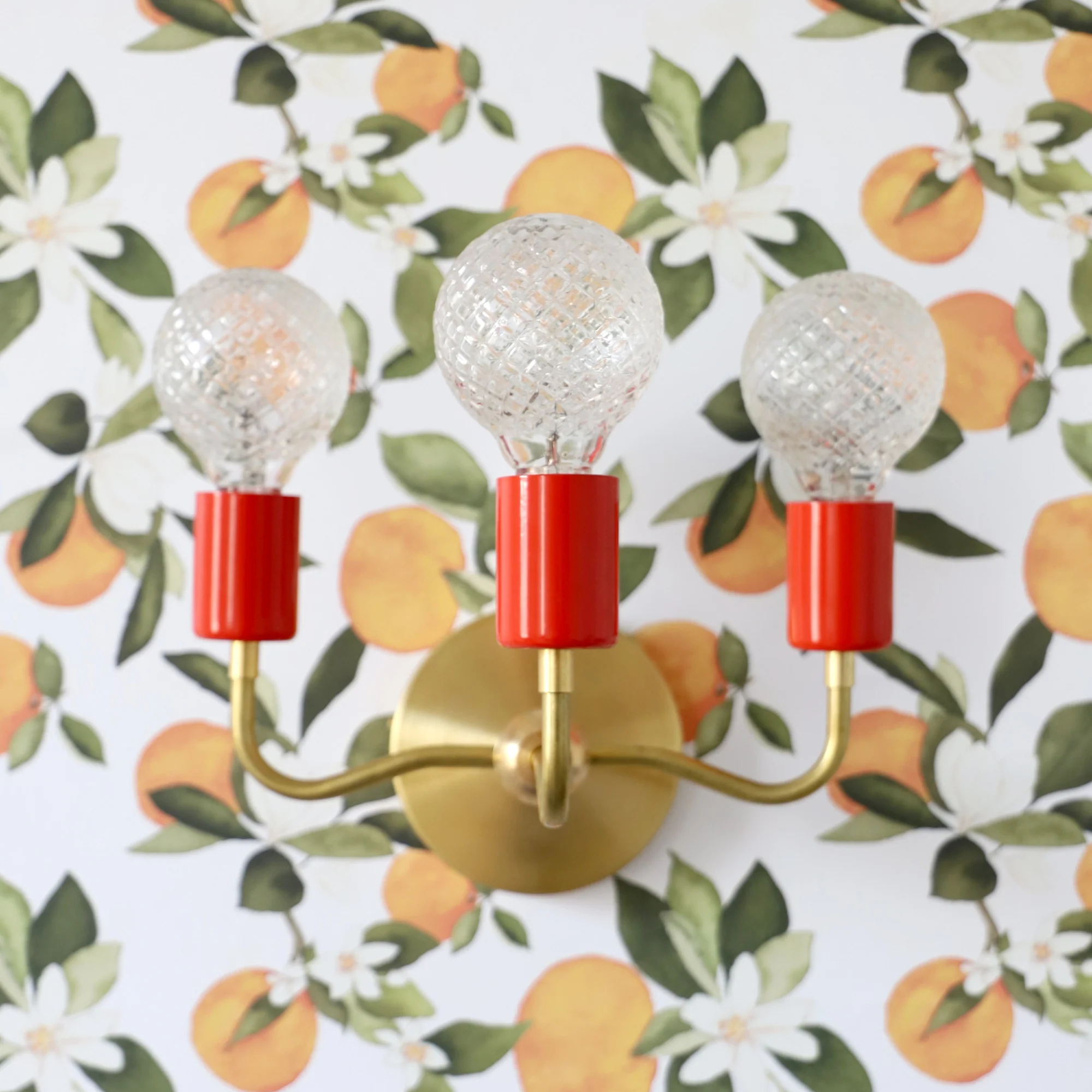 Julia Sconce - Image 15