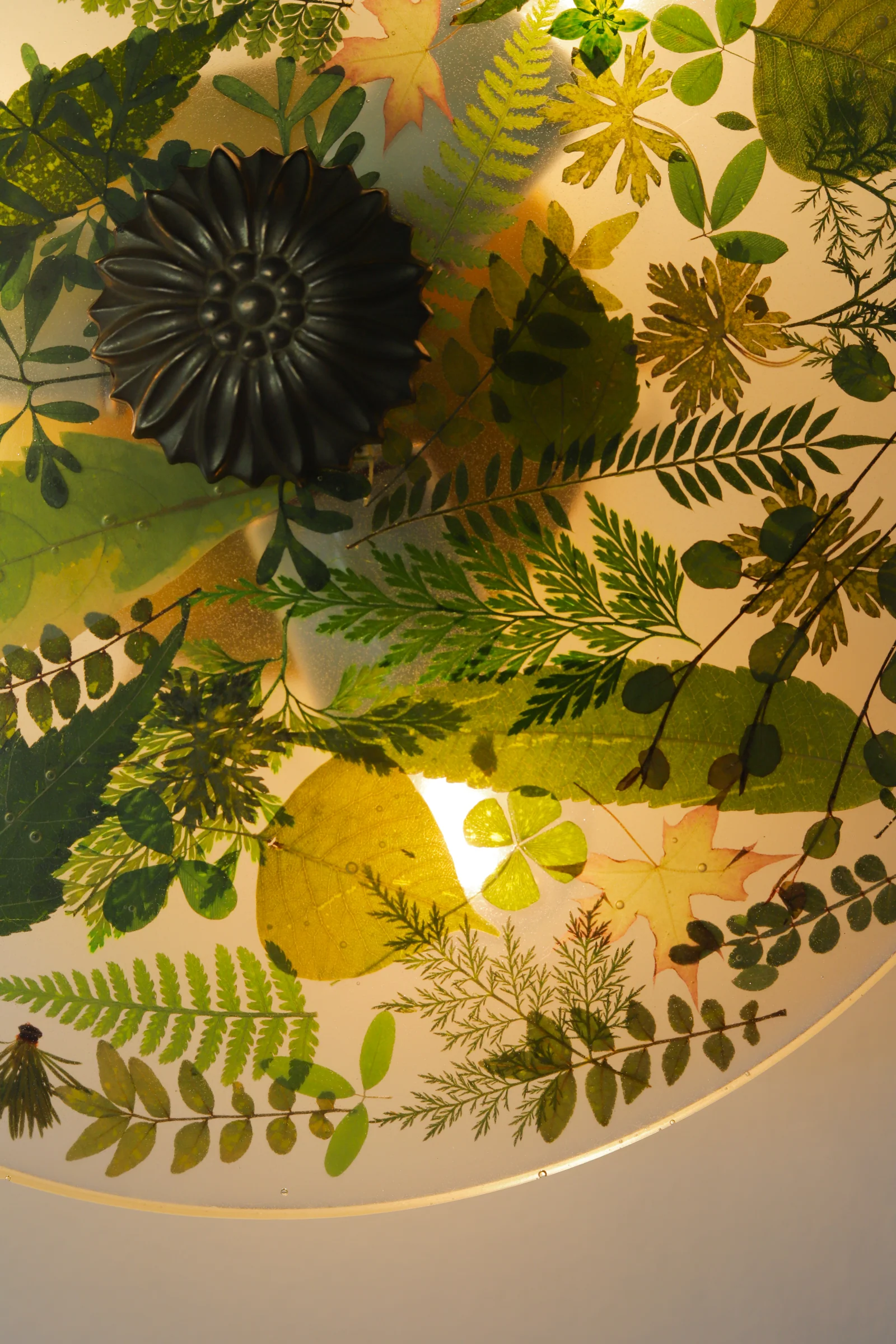 Large Botanico Sconce or Flushmount - Image 10