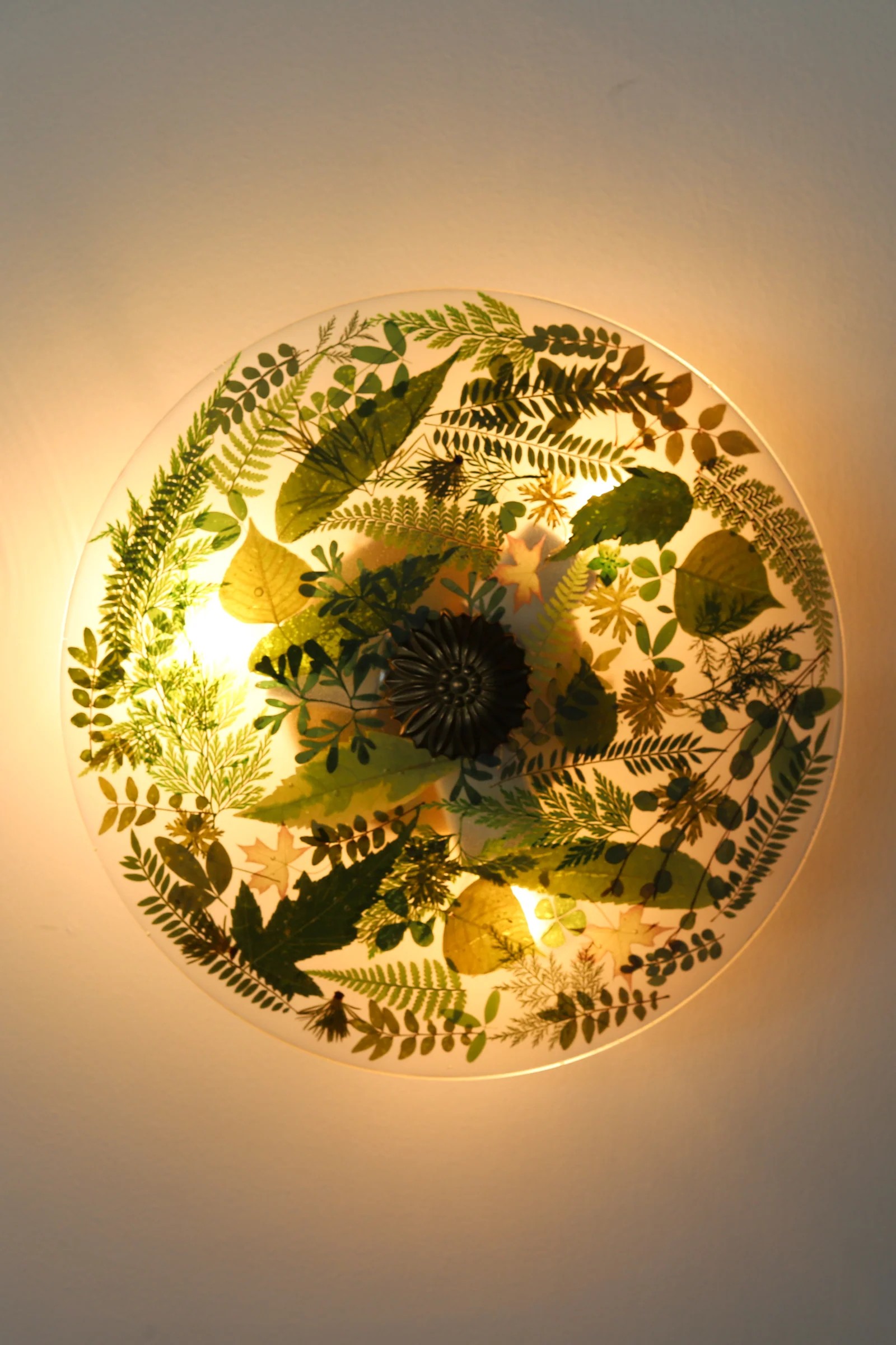 Large Botanico Sconce or Flushmount - Image 12
