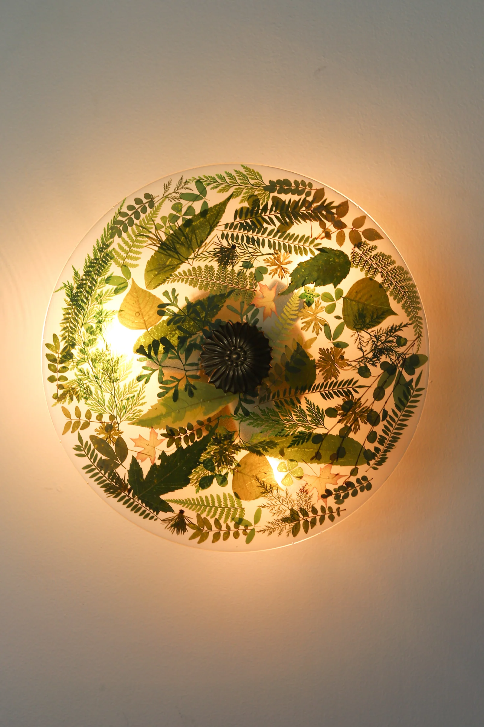 Large Botanico Sconce or Flushmount - Image 14