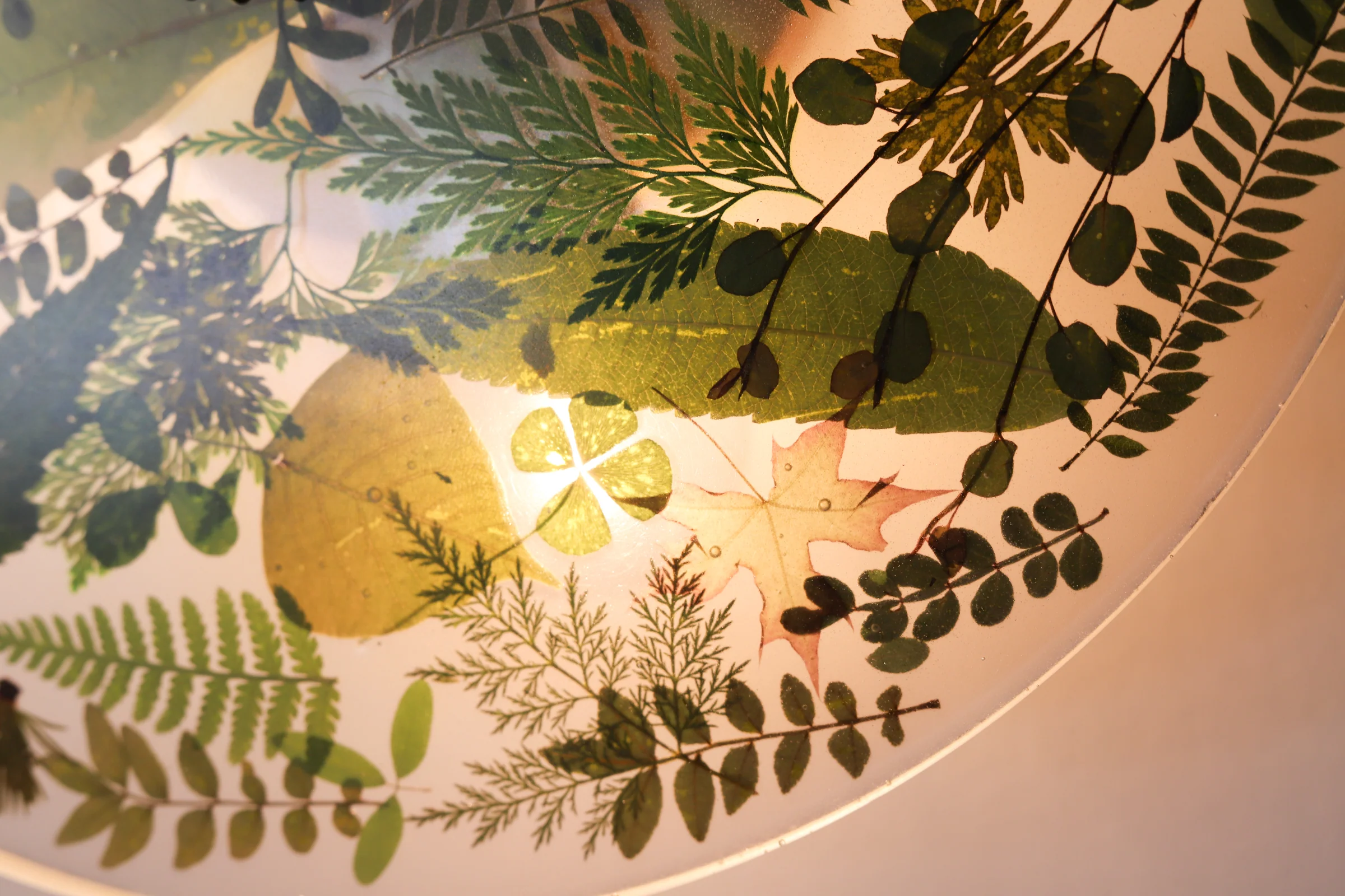 Large Botanico Sconce or Flushmount - Image 16