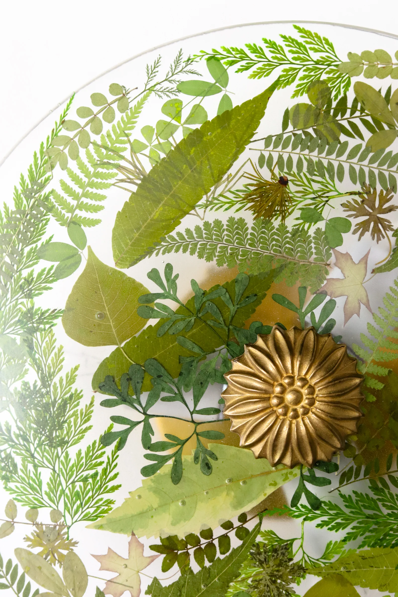 Large Botanico Sconce or Flushmount - Image 5