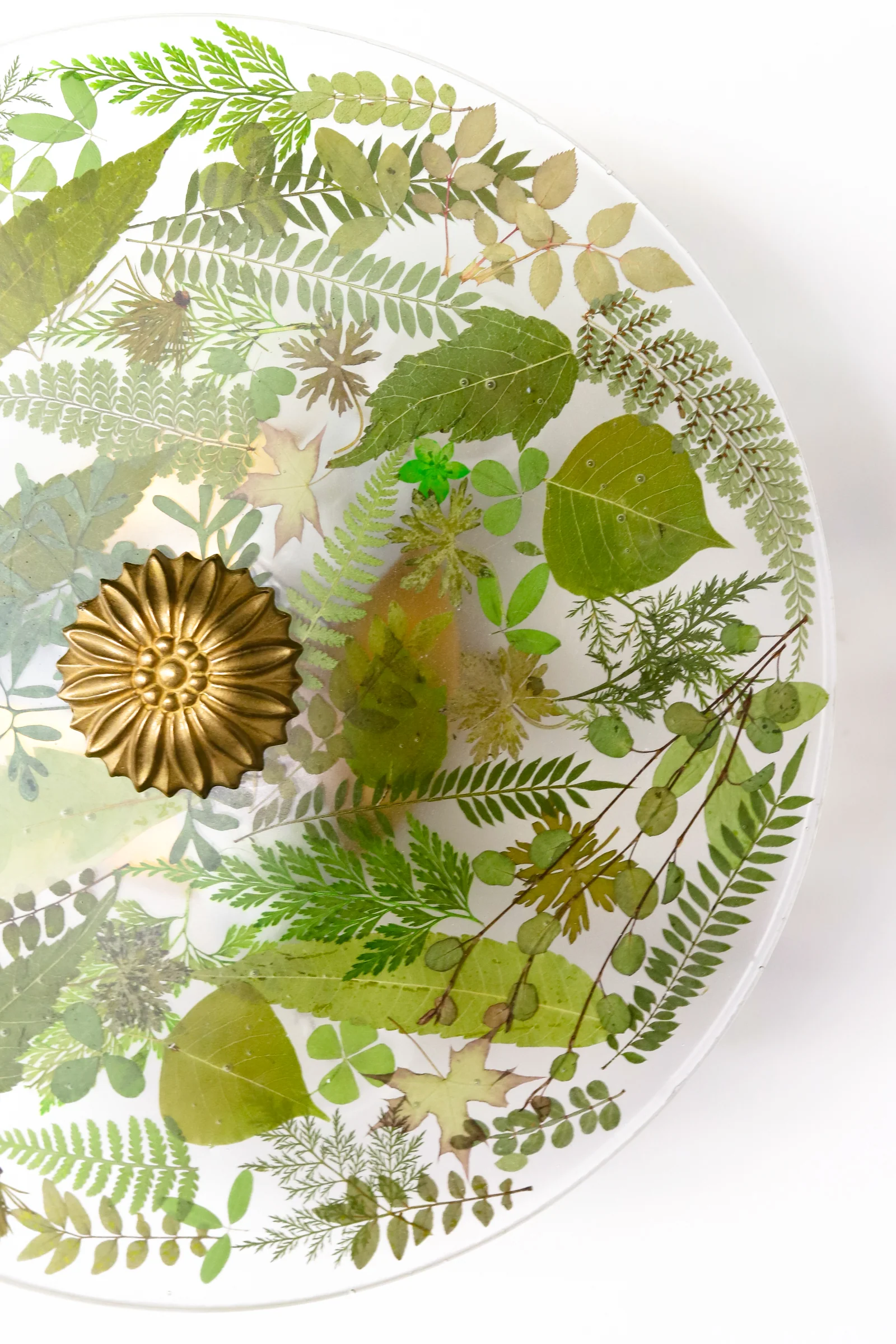 Large Botanico Sconce or Flushmount - Image 7