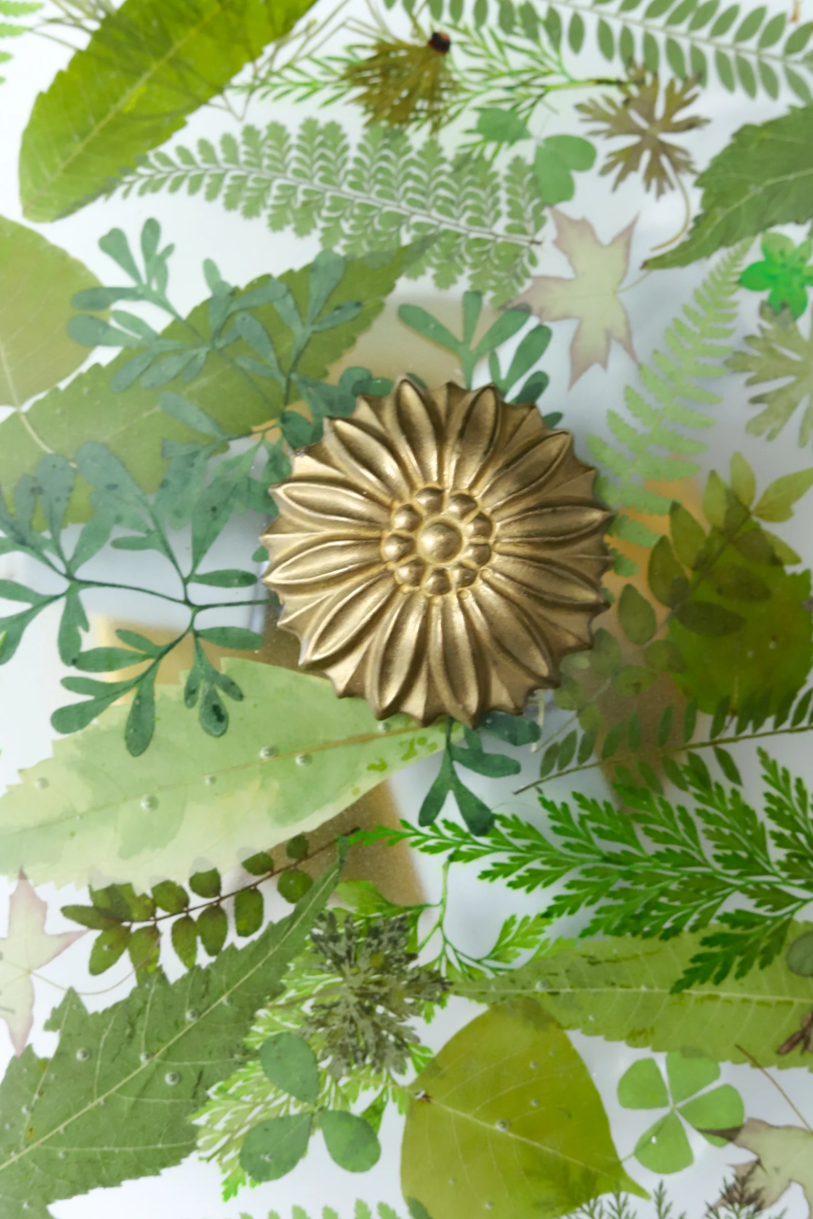 Large Botanico Sconce or Flushmount - Image 9