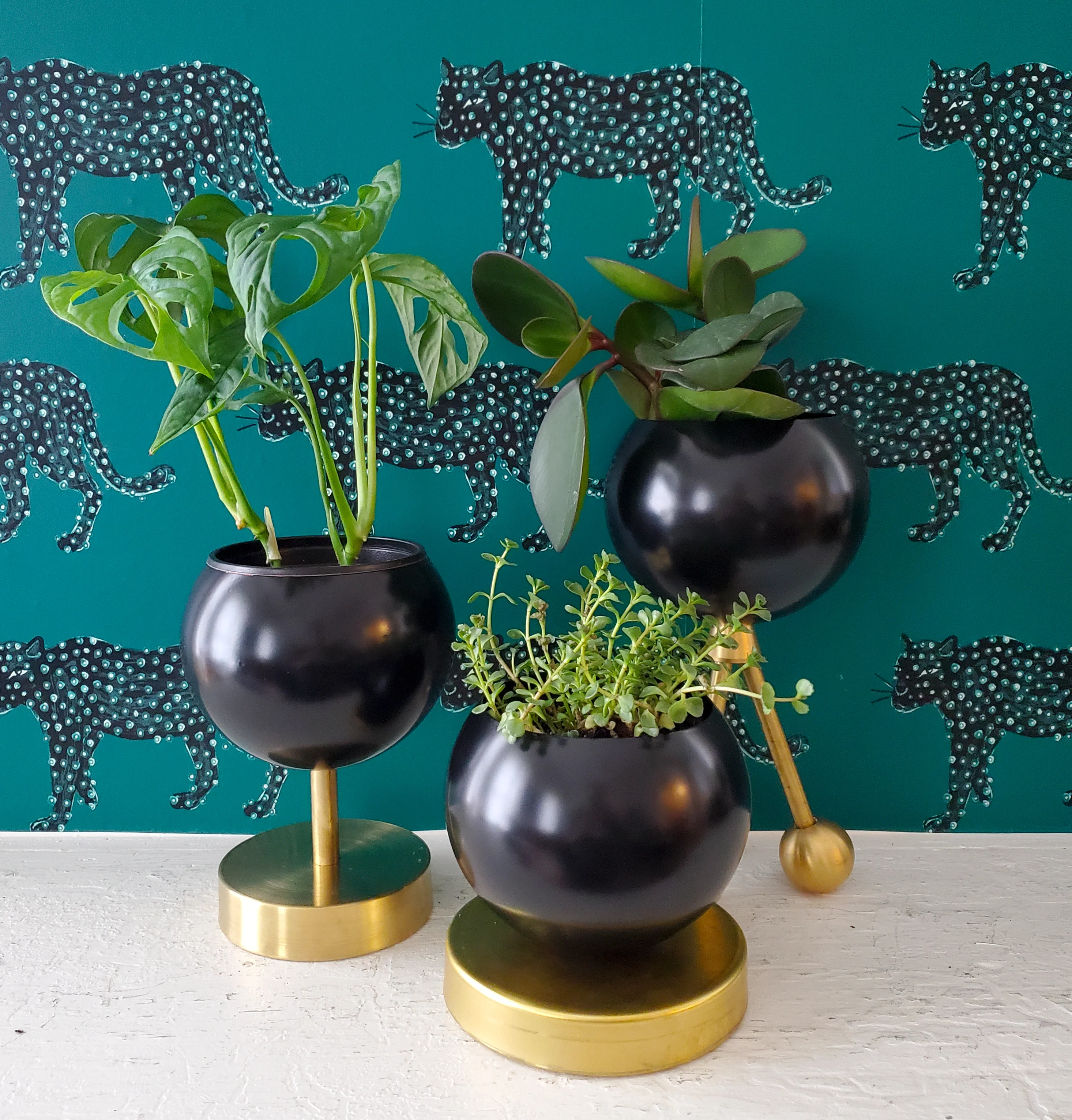 Lifted Loa Planter - Image 7