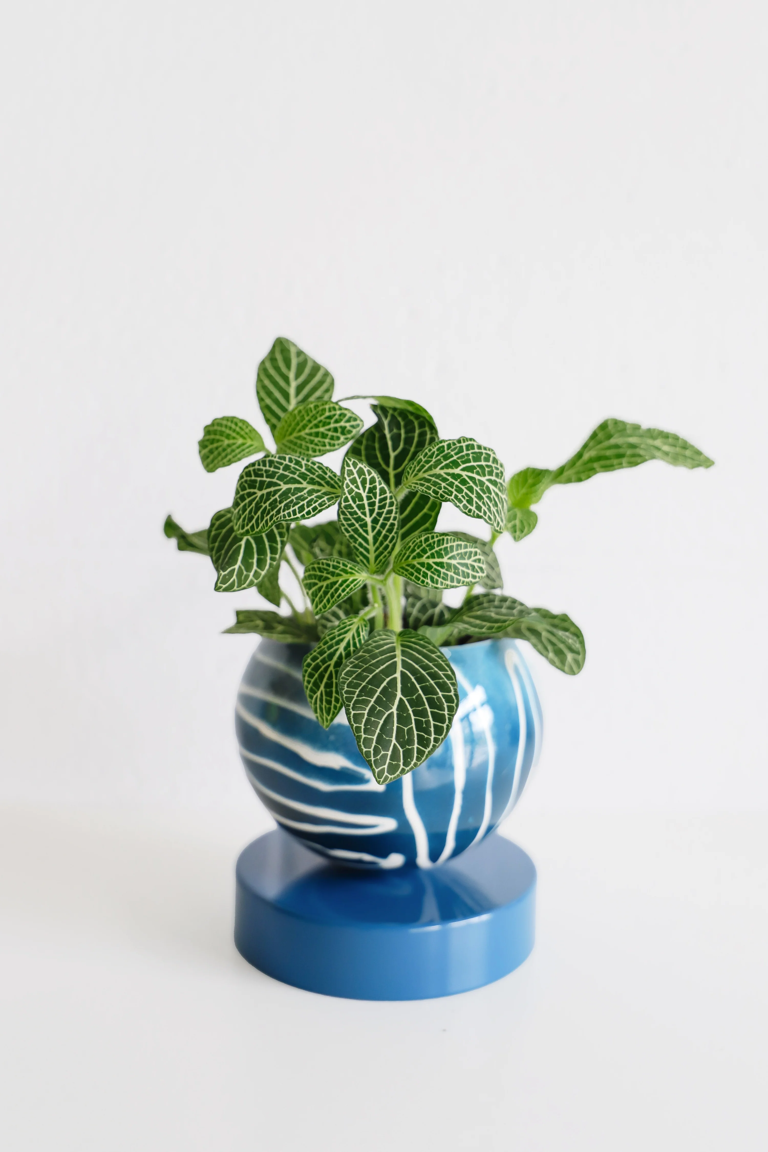 Navy Batik Inspired Loa Planter - Image 5