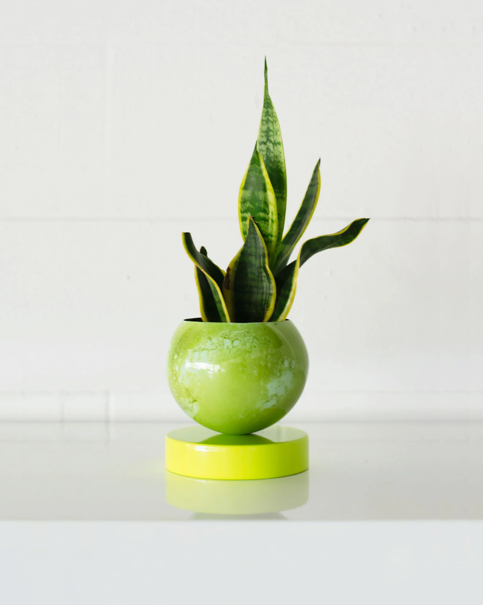 Neon Green & Mint Marbled Loa Planter - Image 3