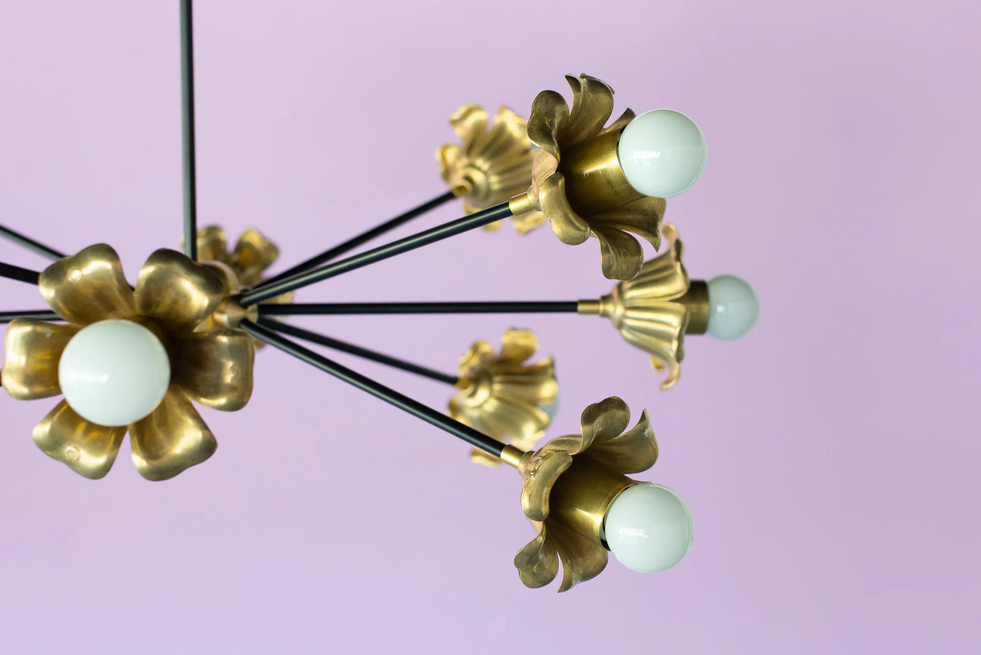 Octavia Blume - Image 10