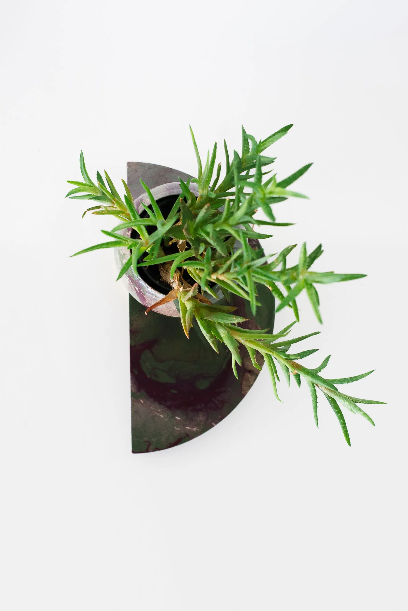 Olive & Eggplant Marbled Demilune Planter - Image 4