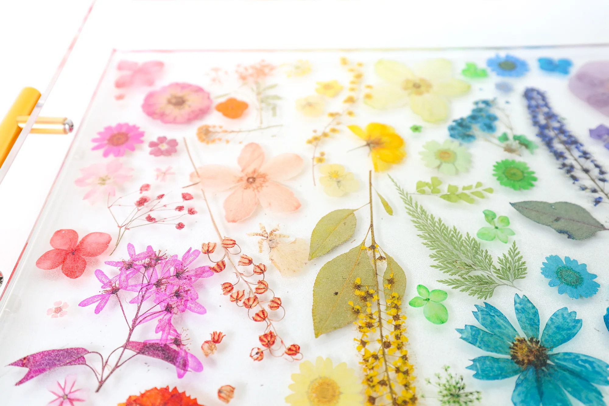Rainbow Floral Tray - Version 1 - Image 3
