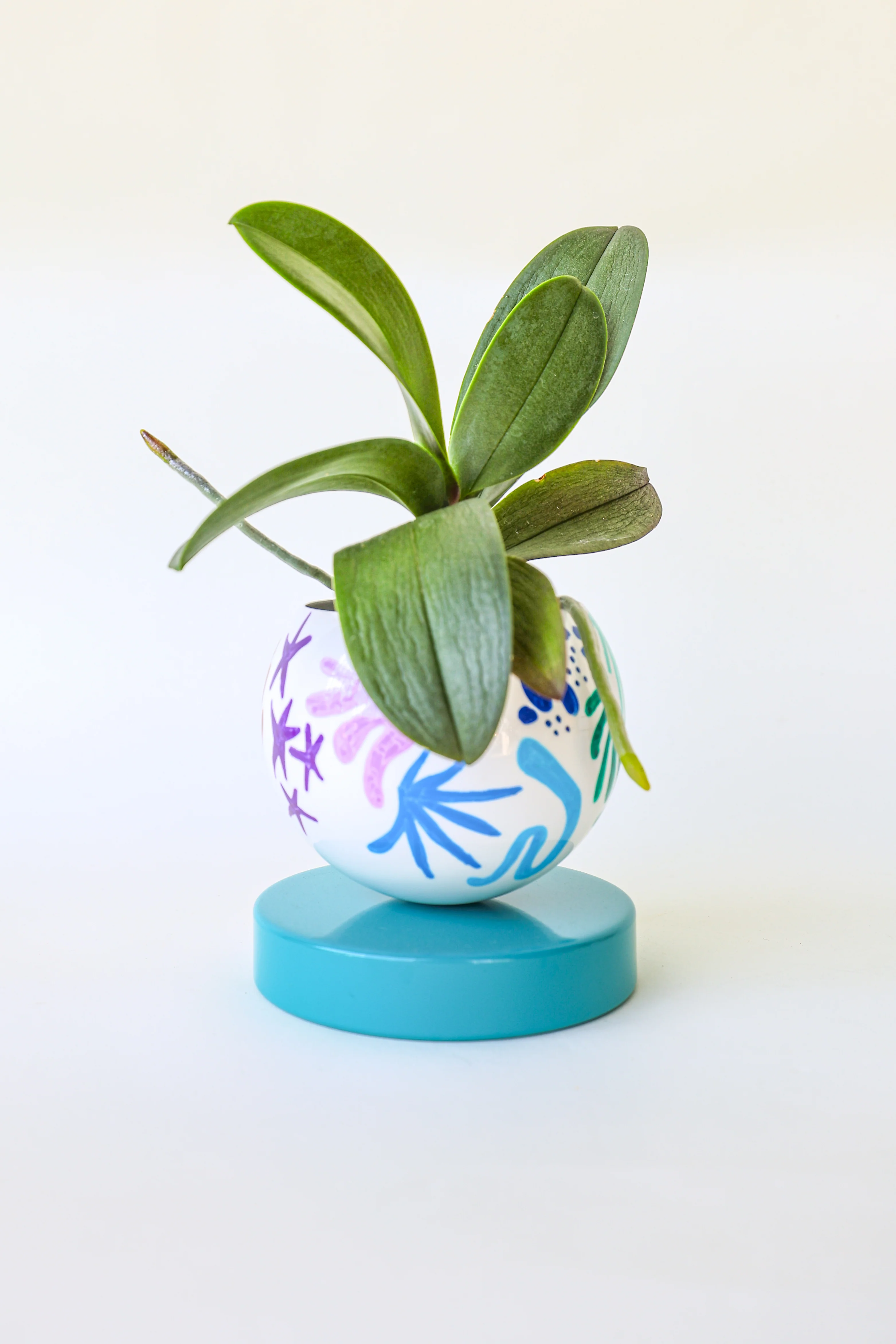 Rainbow & Teal Squiggle Loa Planter - Image 2