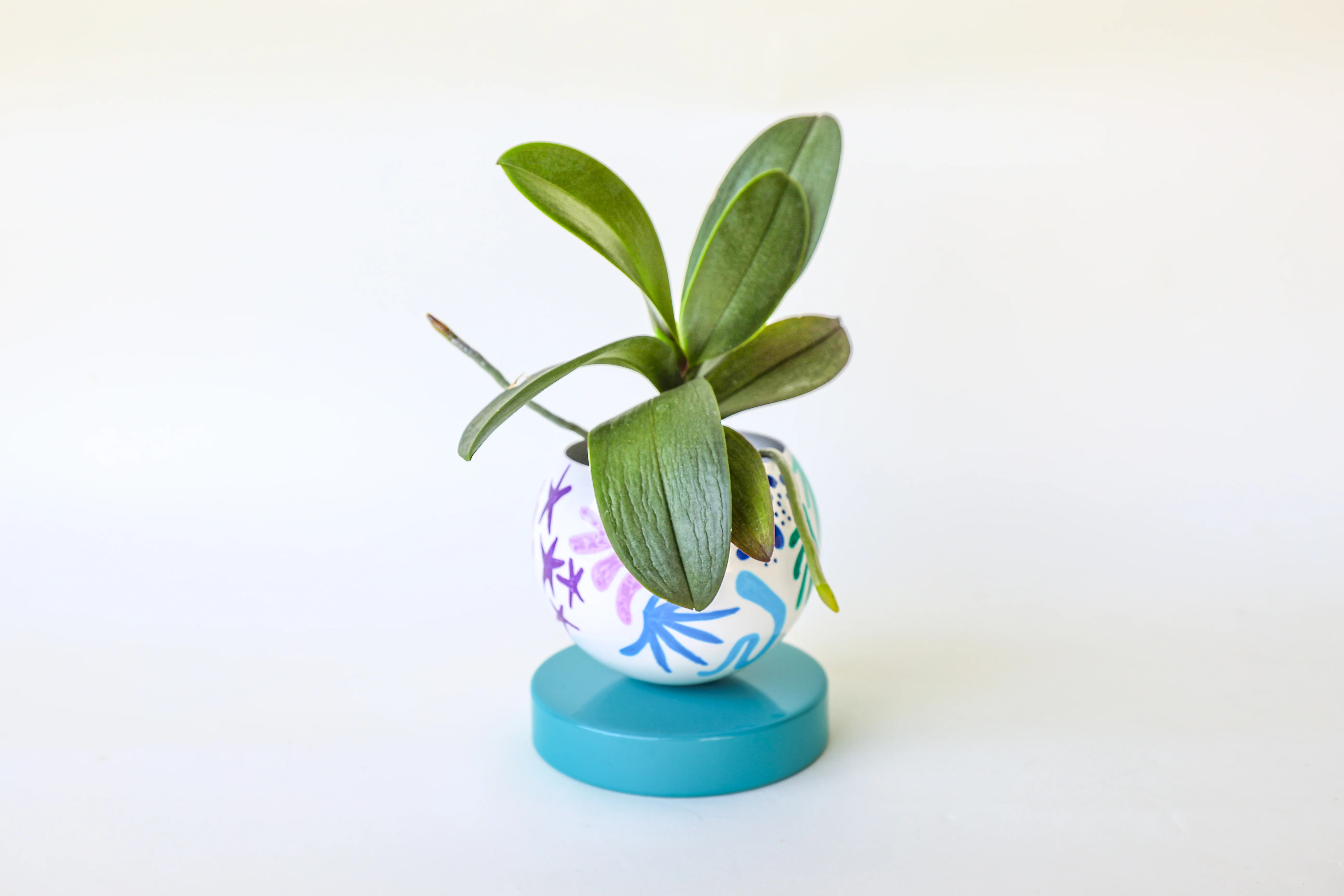 Rainbow & Teal Squiggle Loa Planter - Image 3