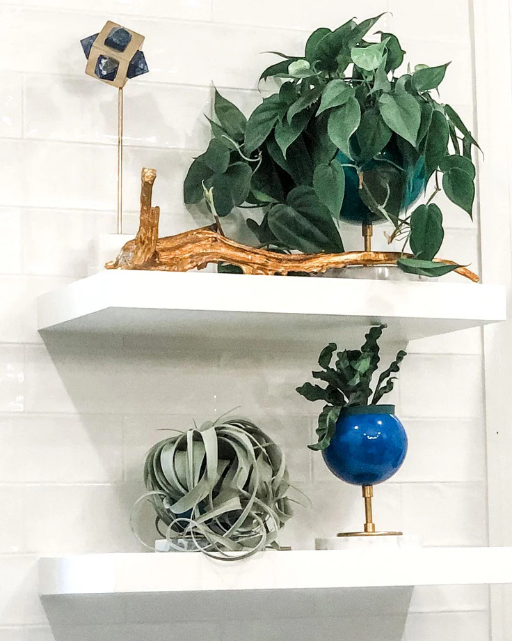 Raised Marble Loa Planter - Image 11