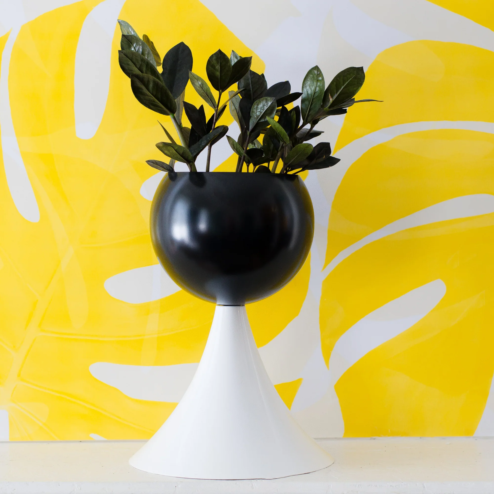 Schooner Planter - Image 6